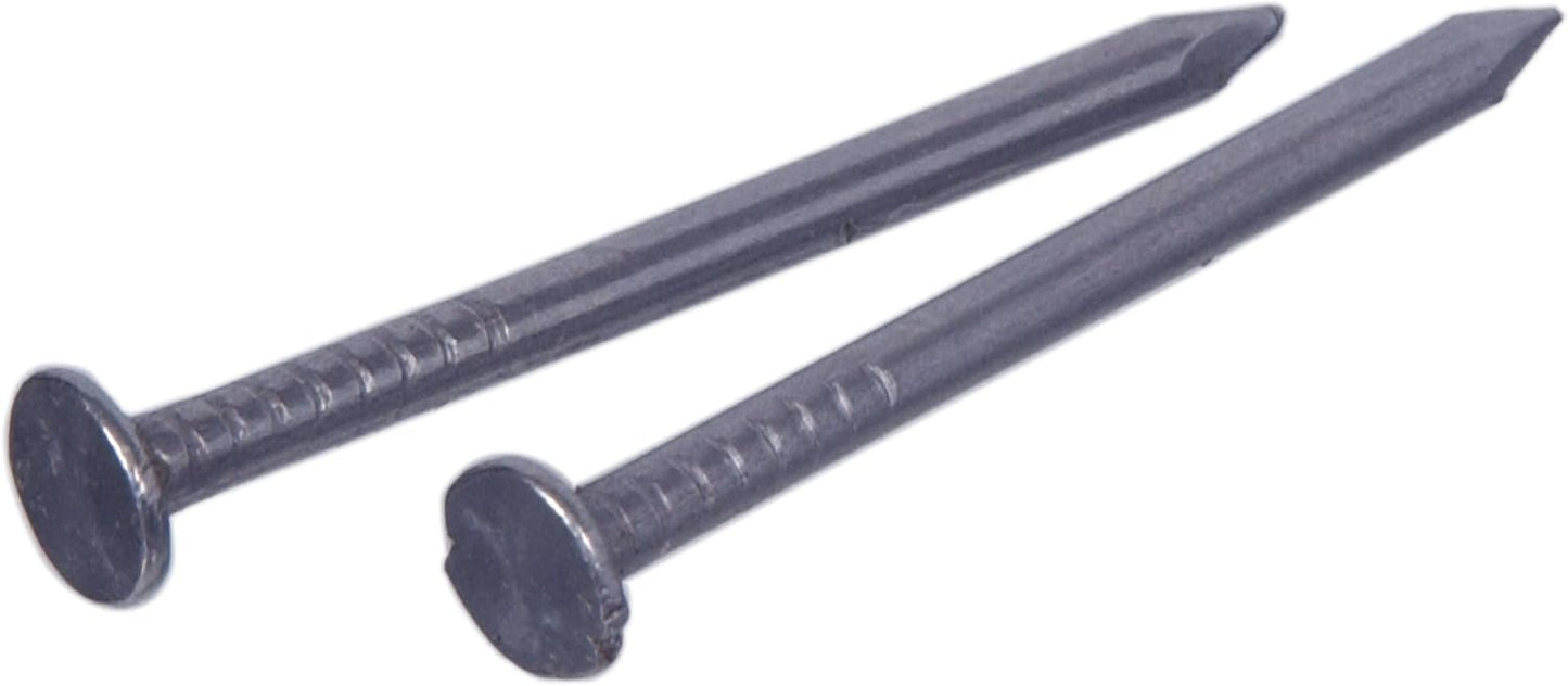 40-Pack of 2-Inch Silver Polish Common Nails (6D)