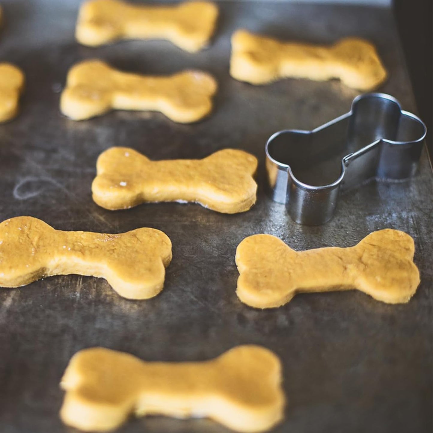 6-Piece Dog Cookie Cutter Set for Homemade Treats and Baking - Mini, Small, Medium, Big Sizes