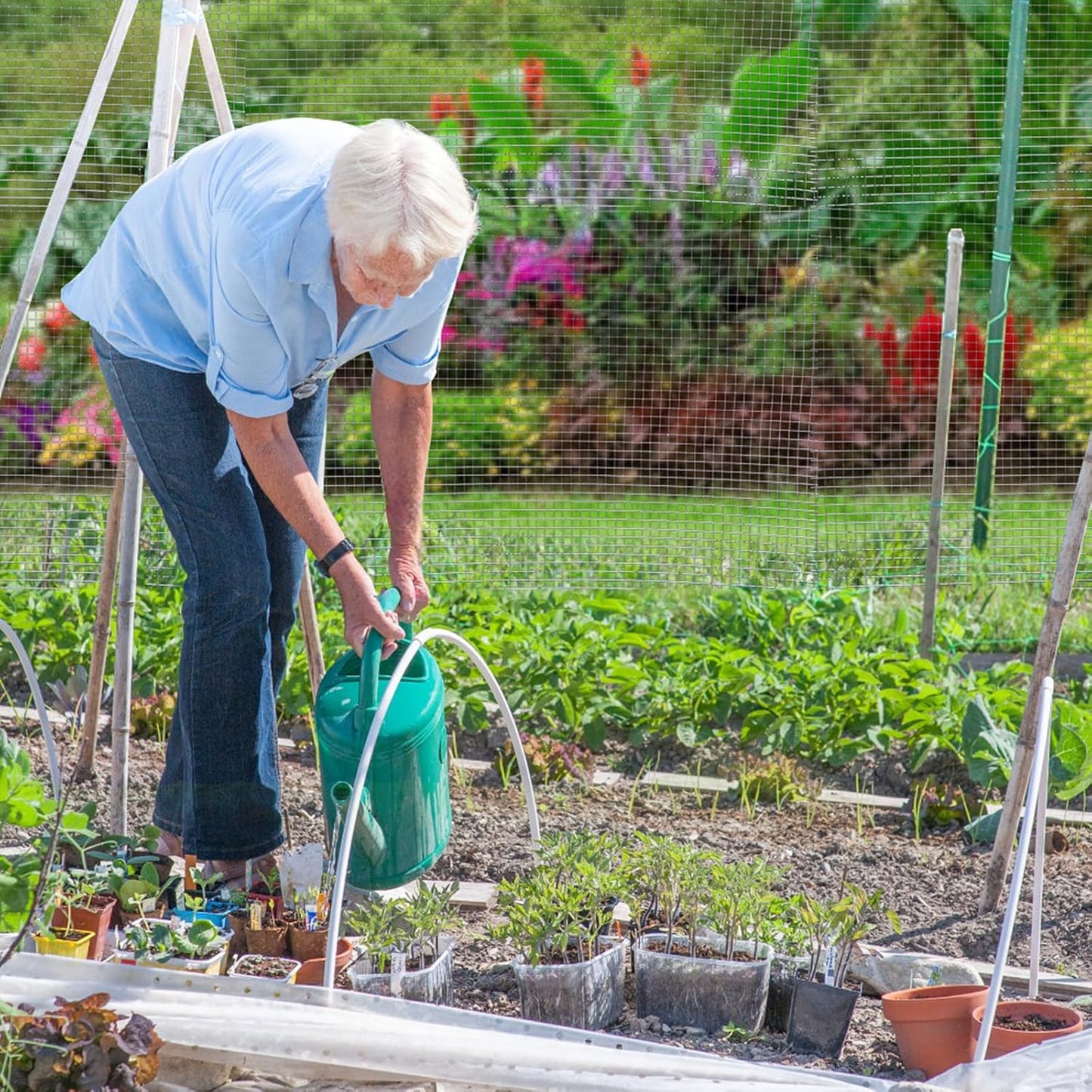 Gartist Hot-Dip Galvanized Welded Hardware Cloth,1/2inch 19Ga 16"x50' Chicken Wire Fencing, Raised Garden Bed Supports Wire Mesh Roll, Galvanized Wire Mesh Fence Prevent Snakes, Raccoons, Foxes - WildKart