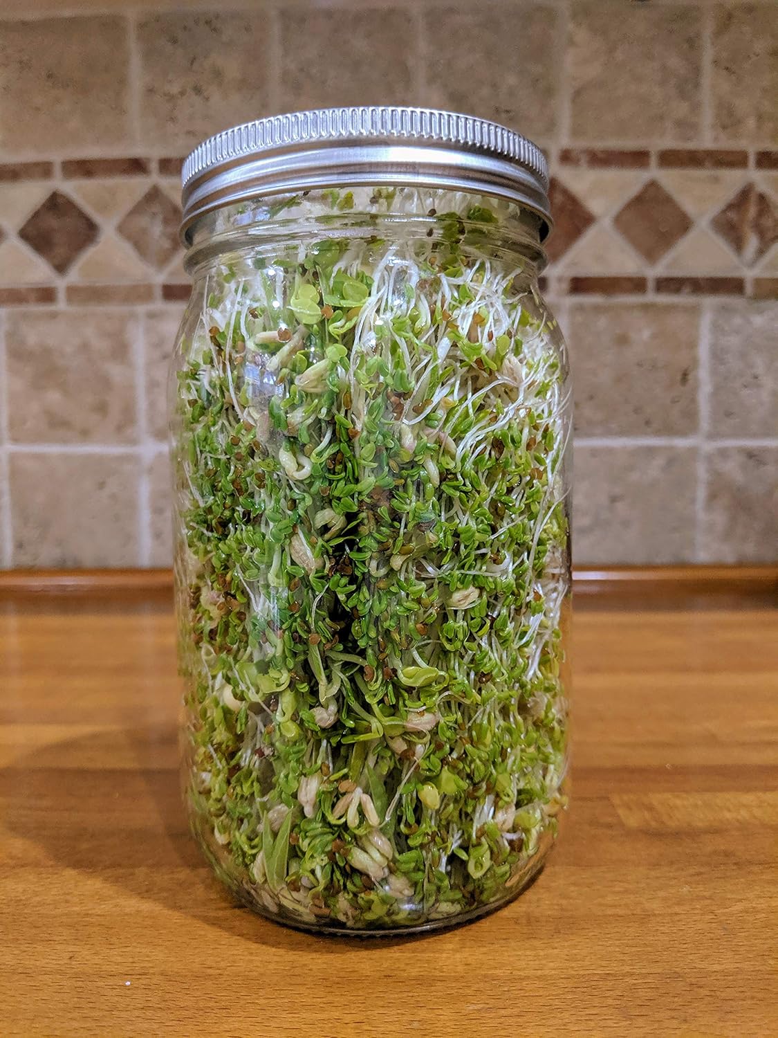 Rust-Free Stainless Steel Sprouting Jar Kit for Fresh Organic Sprouts - Wide Mouth Quart Mason Jar with Screen Lid for Broccoli, Alfalfa, Mung Bean Sprouts - Seeds not Included