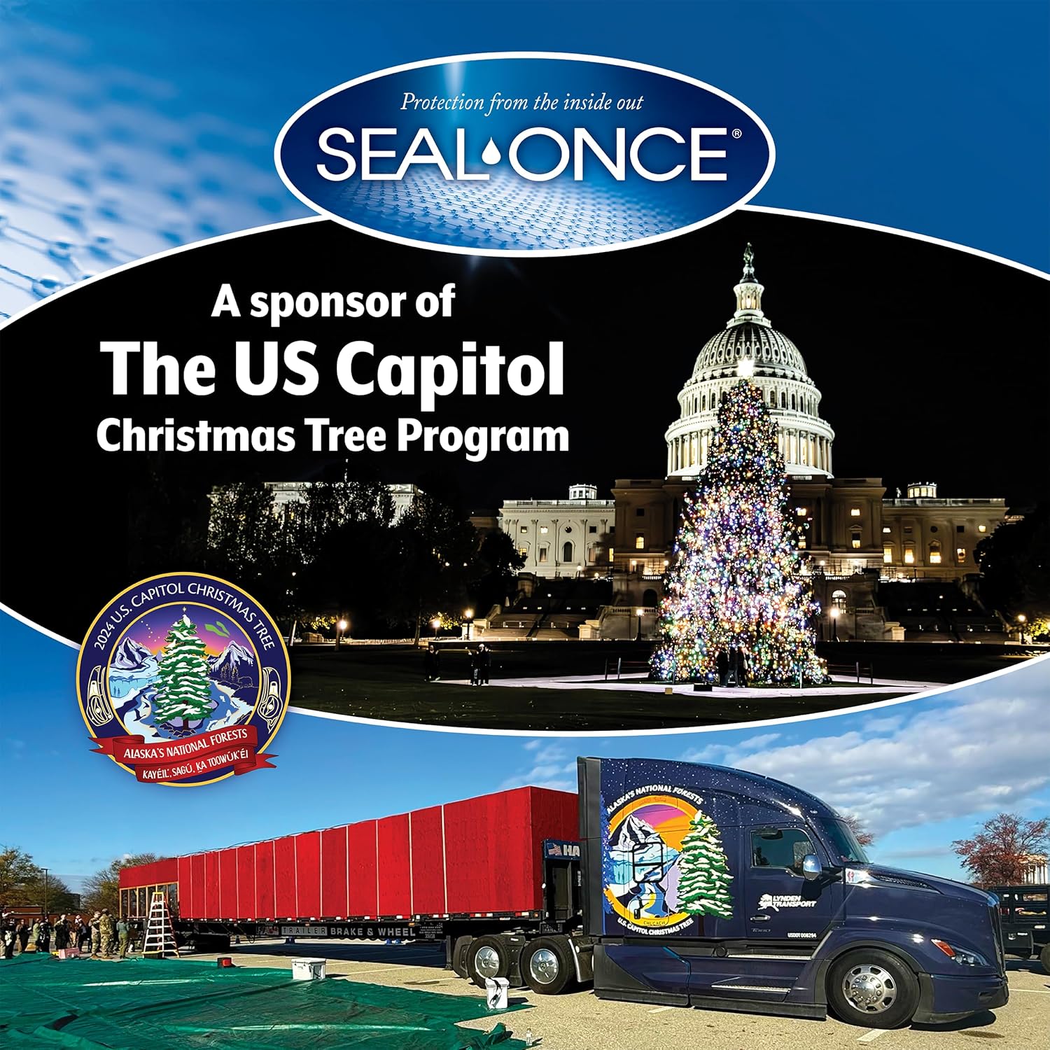 1 Gallon Clear Seal-Once Marine Premium Wood Sealer - Waterproof Wood Stain and Sealant