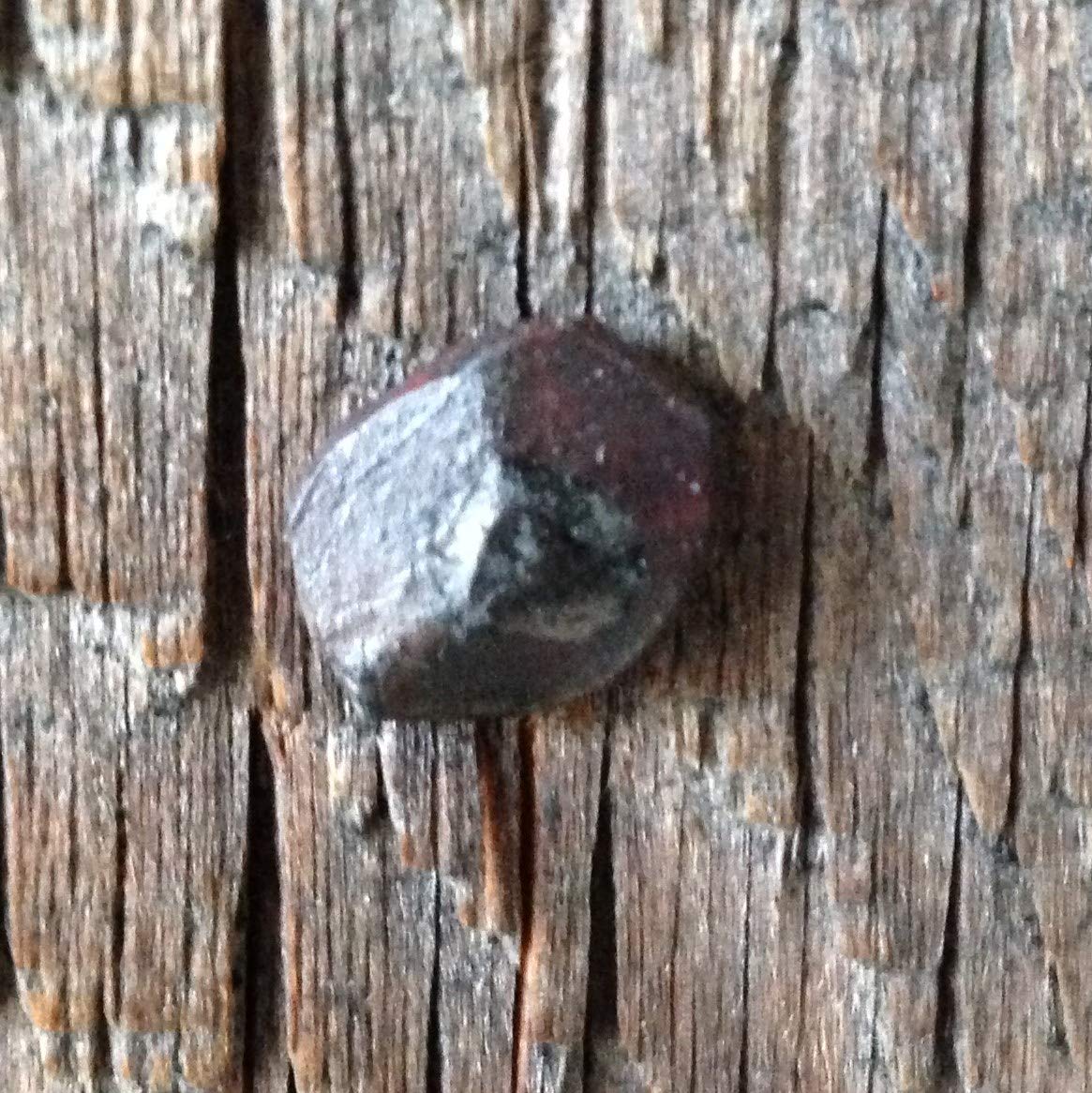 1 lb Wrought Head-Rose Head Nails at Antique Hardware Depot