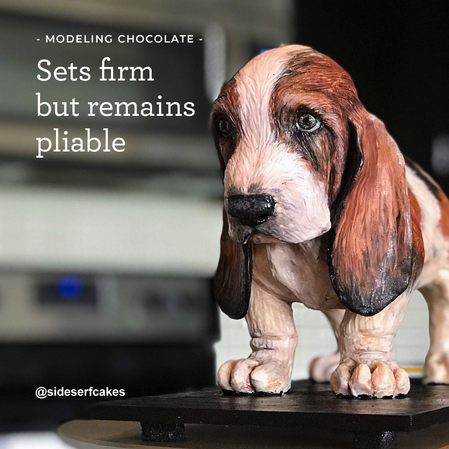 1 Pound Satin Ice ChocoPan Deep Brown Modeling Chocolate - Ideal for Cake Decorating and Edible Creations