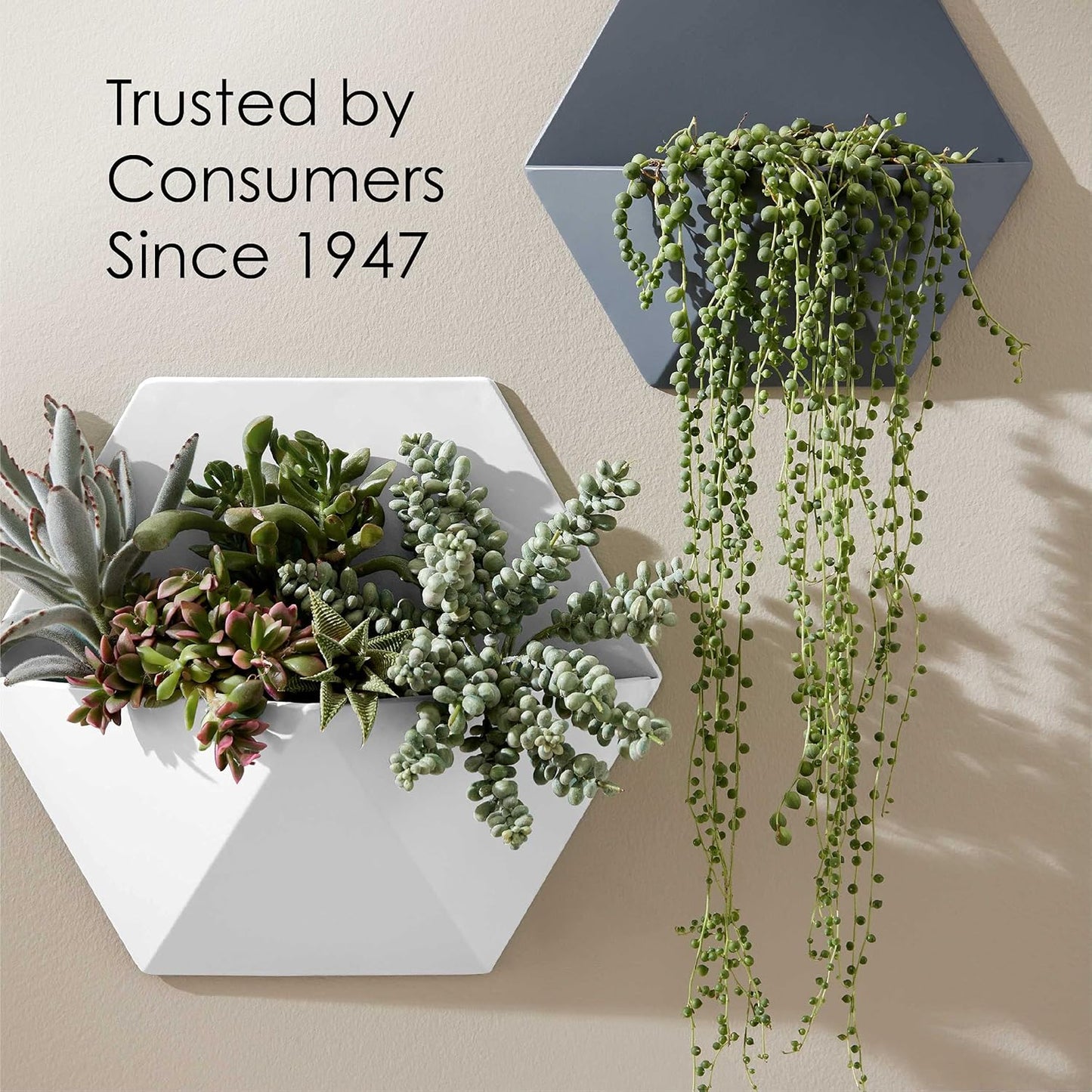 1 Quart Krylon K05644007 Pewter Grey COLORmaxx Paint and Primer in Gloss Finish - Durable and Versatile Formula