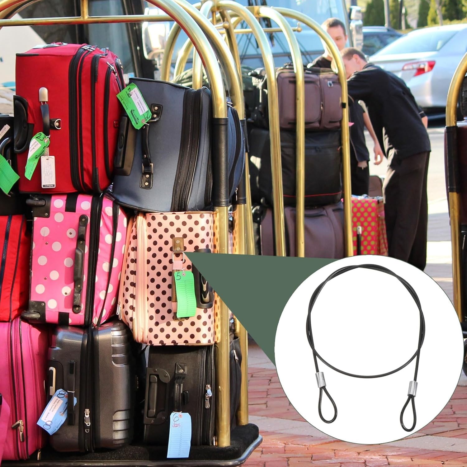 10 Pack Stainless Steel Safety Cable Locks for Home Security - Double Loop Wire Ropes for Doors, Fences - Black, 2ft, 2mm Diameter