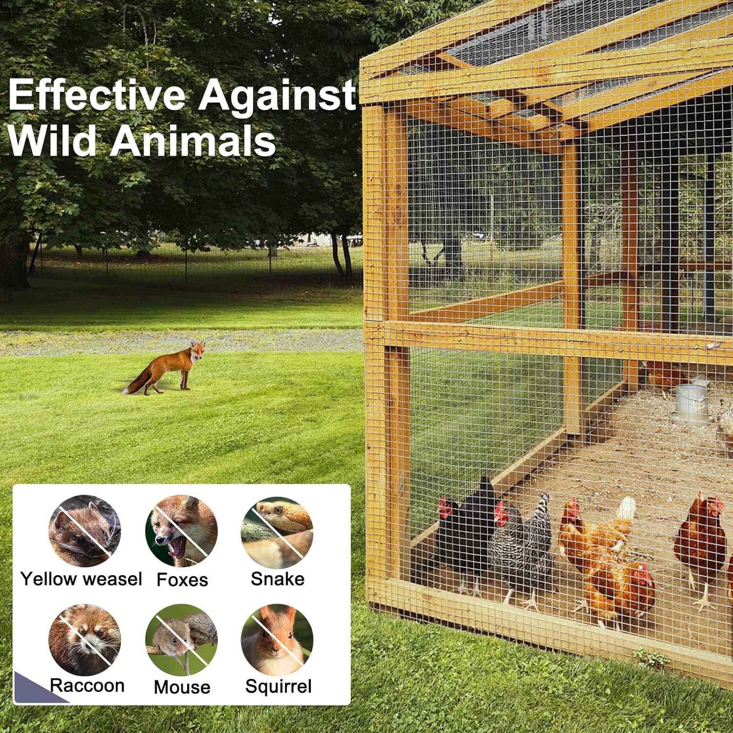 1/2" Hardware Cloth 48"x100' 19 Gauge Galvanized Welded Wire Fencing for Chicken Coops, Plant Supports, Poultry Cages, and More - WildKart