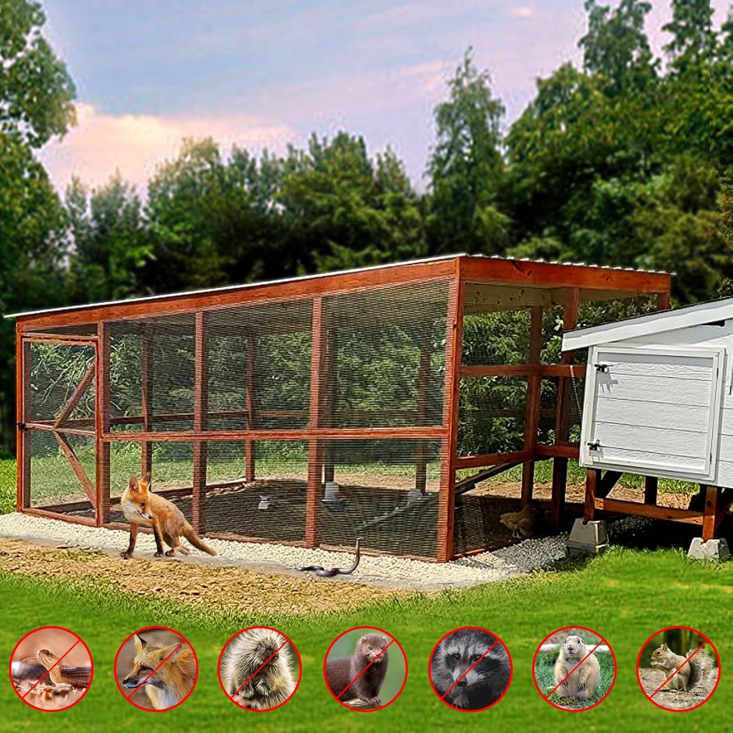 1/2 Inch Hardware Cloth 48 X 100 ft - 19 Gauge Wire Mesh for Chicken Coops, Rabbit Cages, Garden, Small Rodents - Hot Dipped Galvanized Wire Fence - WildKart