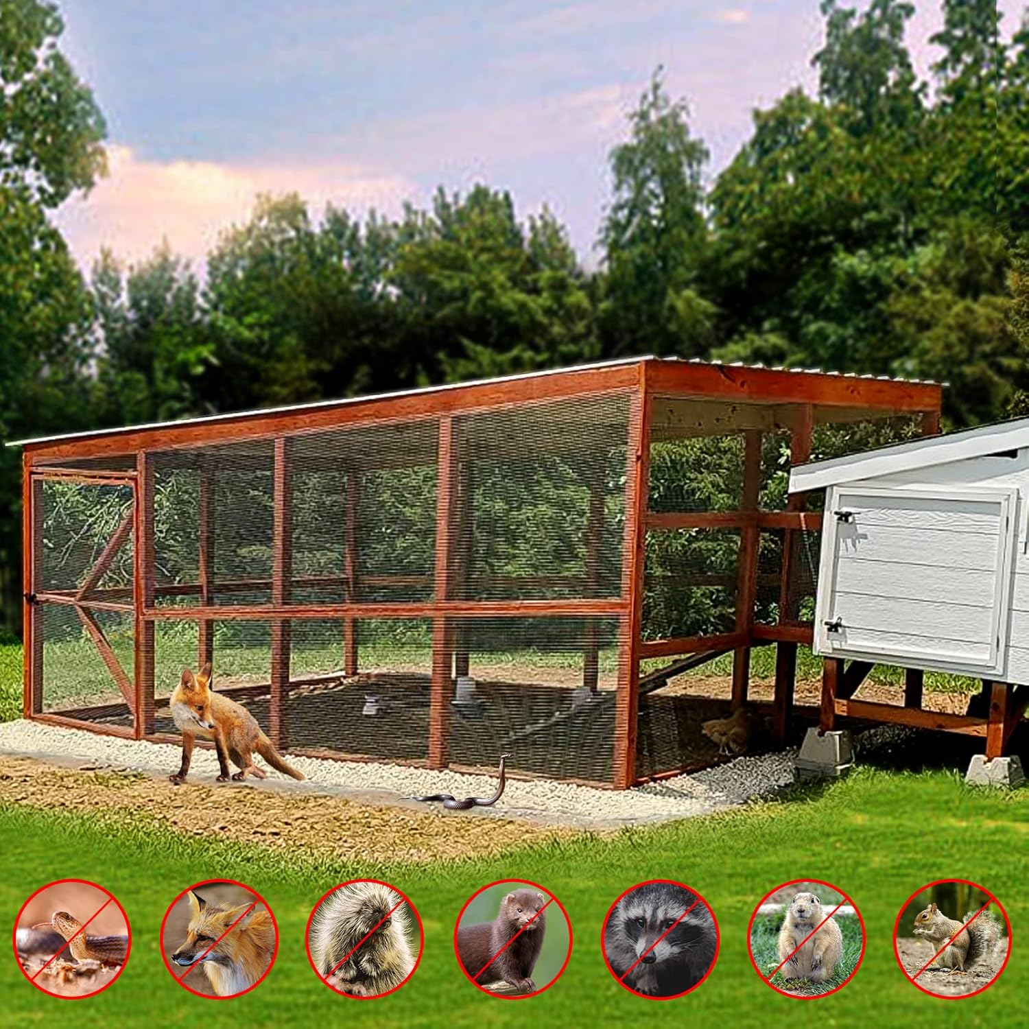 1/2 Inch Hardware Cloth 48 X 100 ft - 19 Gauge Wire Mesh for Chicken Coops, Rabbit Cages, Garden, Small Rodents - Hot Dipped Galvanized Wire Fence - WildKart