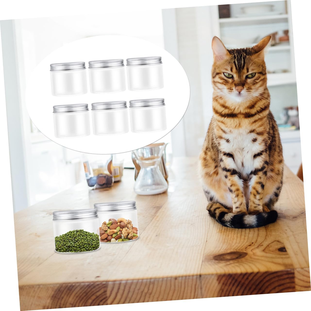 12-Piece Zerodeko Mason Jar Set with Lids - Portable Food Storage Containers for Salads, Fruits, and Jellies