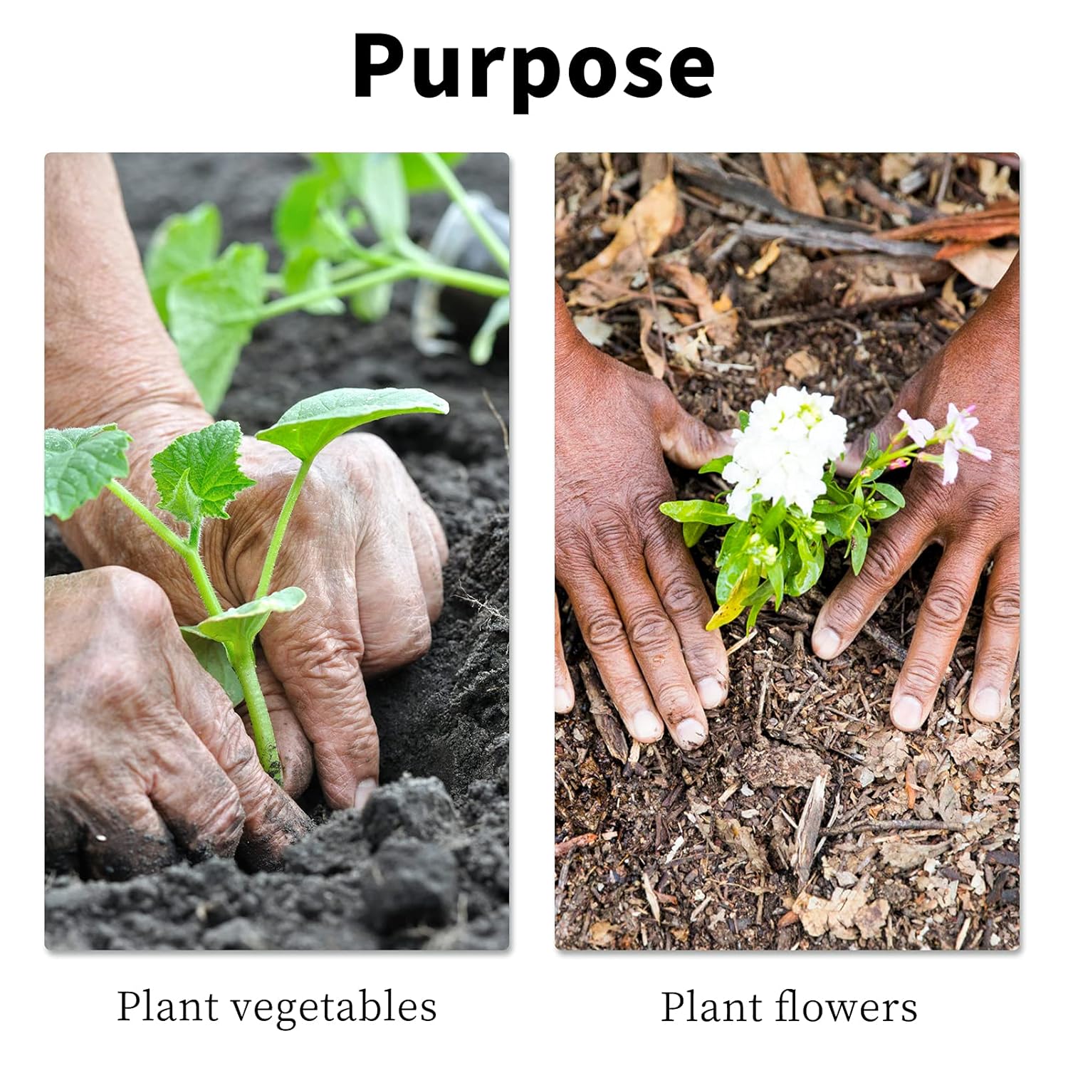 1.6x9 Inch Garden Auger Drill Bit for Planting Bulbs & Plants with 3/8" Hex Drive Drill - Ideal Tool for Tulips & Bedding Plants