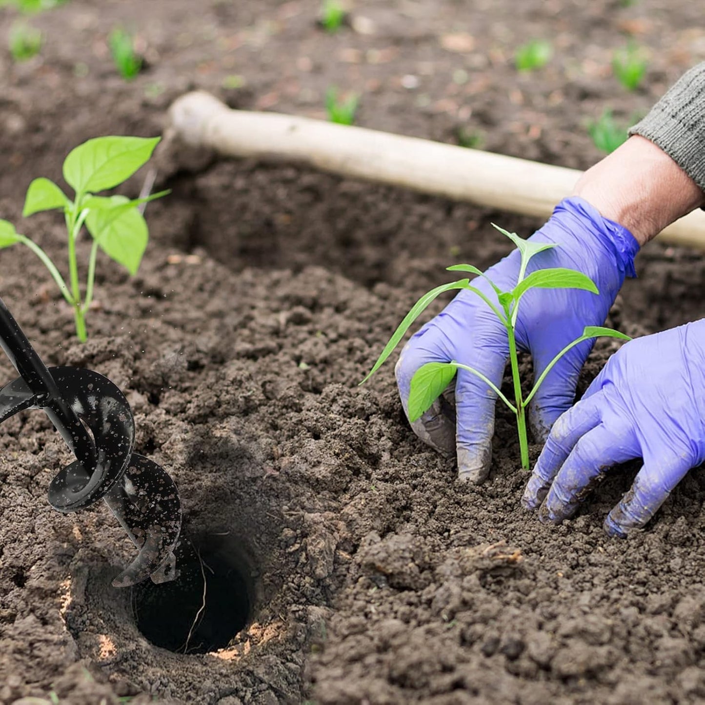 1.6x9 Inch Garden Auger Drill Bit for Planting Bulbs & Plants with 3/8" Hex Drive Drill - Ideal Tool for Tulips & Bedding Plants