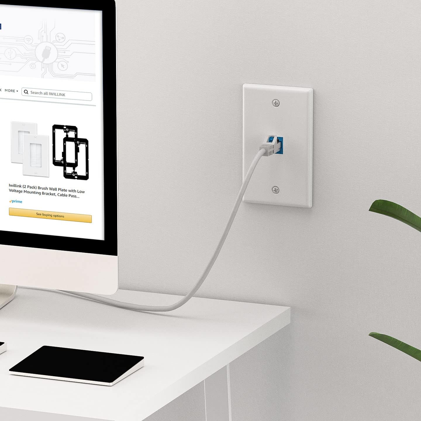 (2-Pack) Blue Cat6 Ethernet Wall Plate with 1-Port Keystone Jack and RJ45 Coupler - Female to Female Connectivity