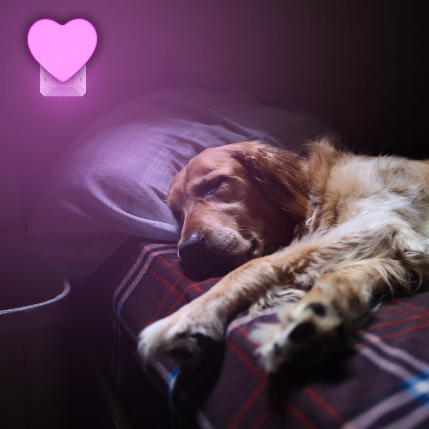 2 Pack Pink LED Night Lights for Kids, Cute Nightlight with Auto Dusk to Dawn Sensor - Ideal for Bedroom, Nursery, Bathroom, Hallway - INZU Night Lights Plug Into Wall