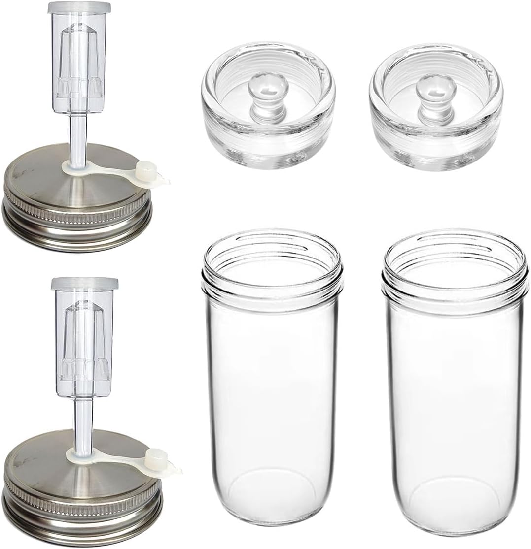 2-Piece Fermentation Kit with Mason Jars, Weights, and Lids for Sauerkraut and Vegetables (0.73L)