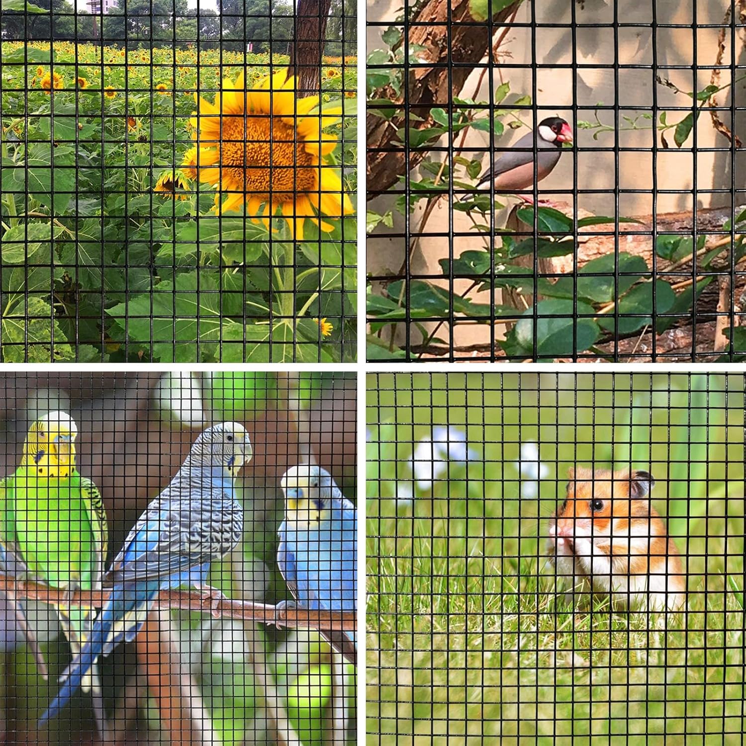 24x50 ft 1x1 Inch Black PVC Coated Hardware Cloth, 16 Ga Chicken Wire Mesh Fencing for Garden and Rabbit Fence - WildKart