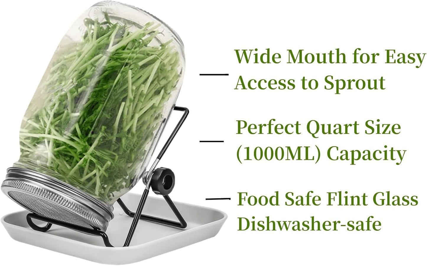 2pcs Sprouts Growing Jar Kit with Stainless Steel Screen Lids - Quart Mason Jars for Broccoli, Alfalfa, Mung Bean - Seed Sprouter Set
