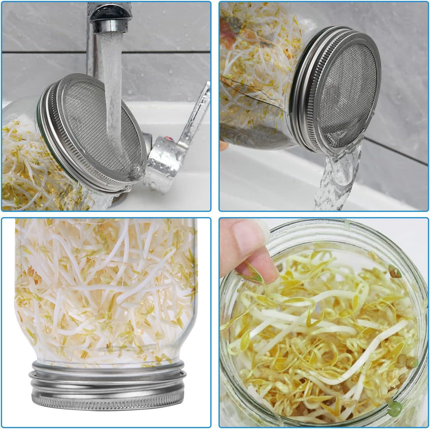 2pcs Sprouts Growing Jar Kit with Stainless Steel Screen Lids - Quart Mason Jars for Broccoli, Alfalfa, Mung Bean - Seed Sprouter Set