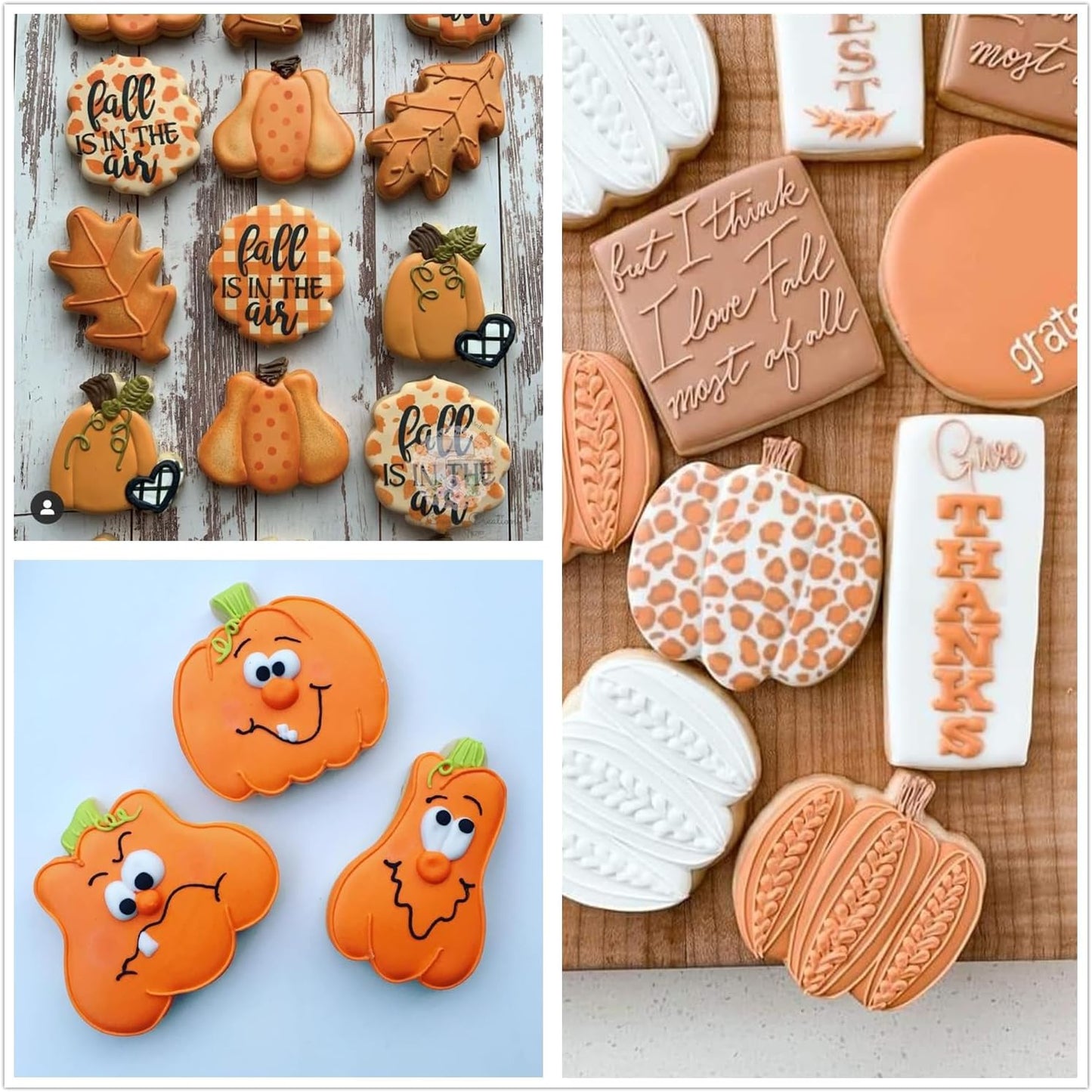 3-Piece Stainless Steel Pumpkin Cookie Cutters Set with Decorating Instructions for Halloween & Thanksgiving