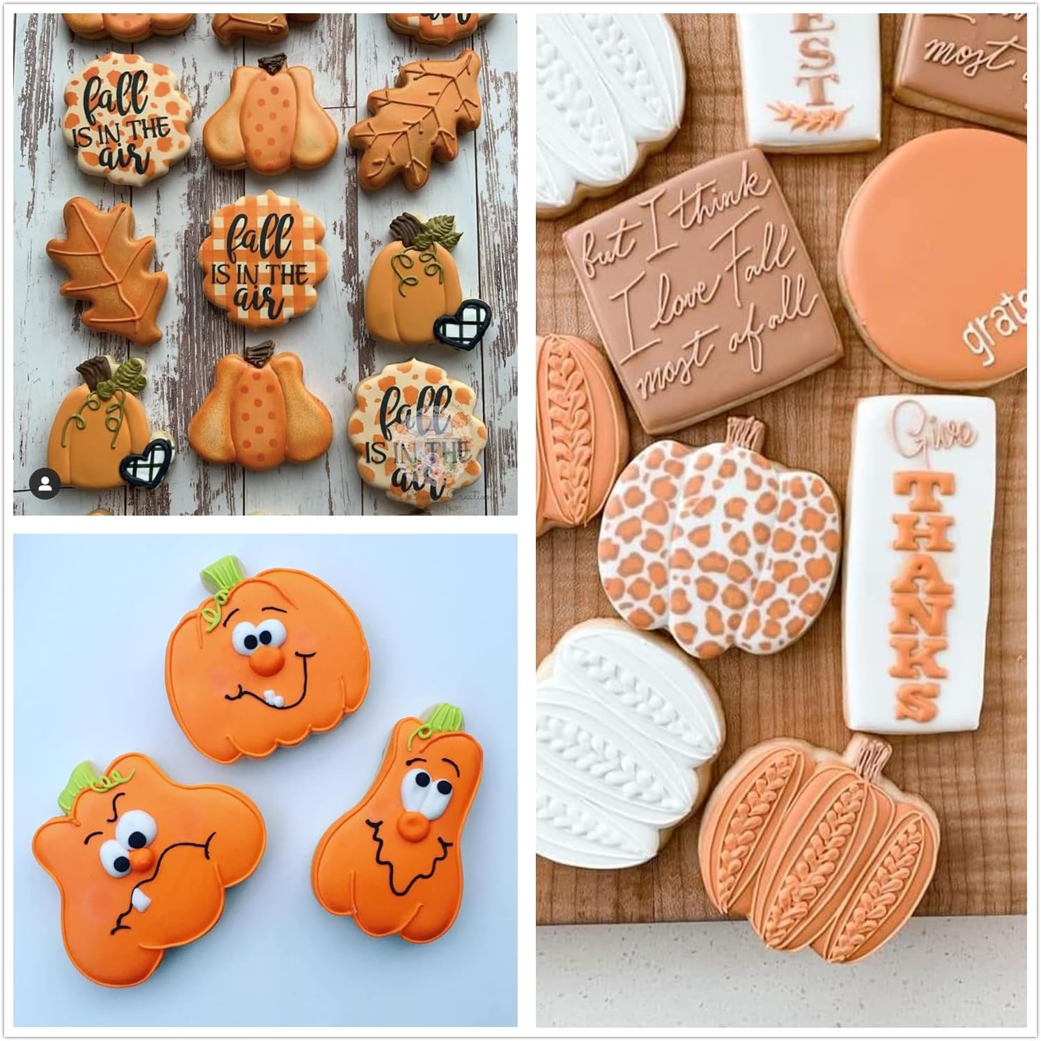 3-Piece Stainless Steel Pumpkin Cookie Cutters Set with Decorating Instructions for Halloween & Thanksgiving