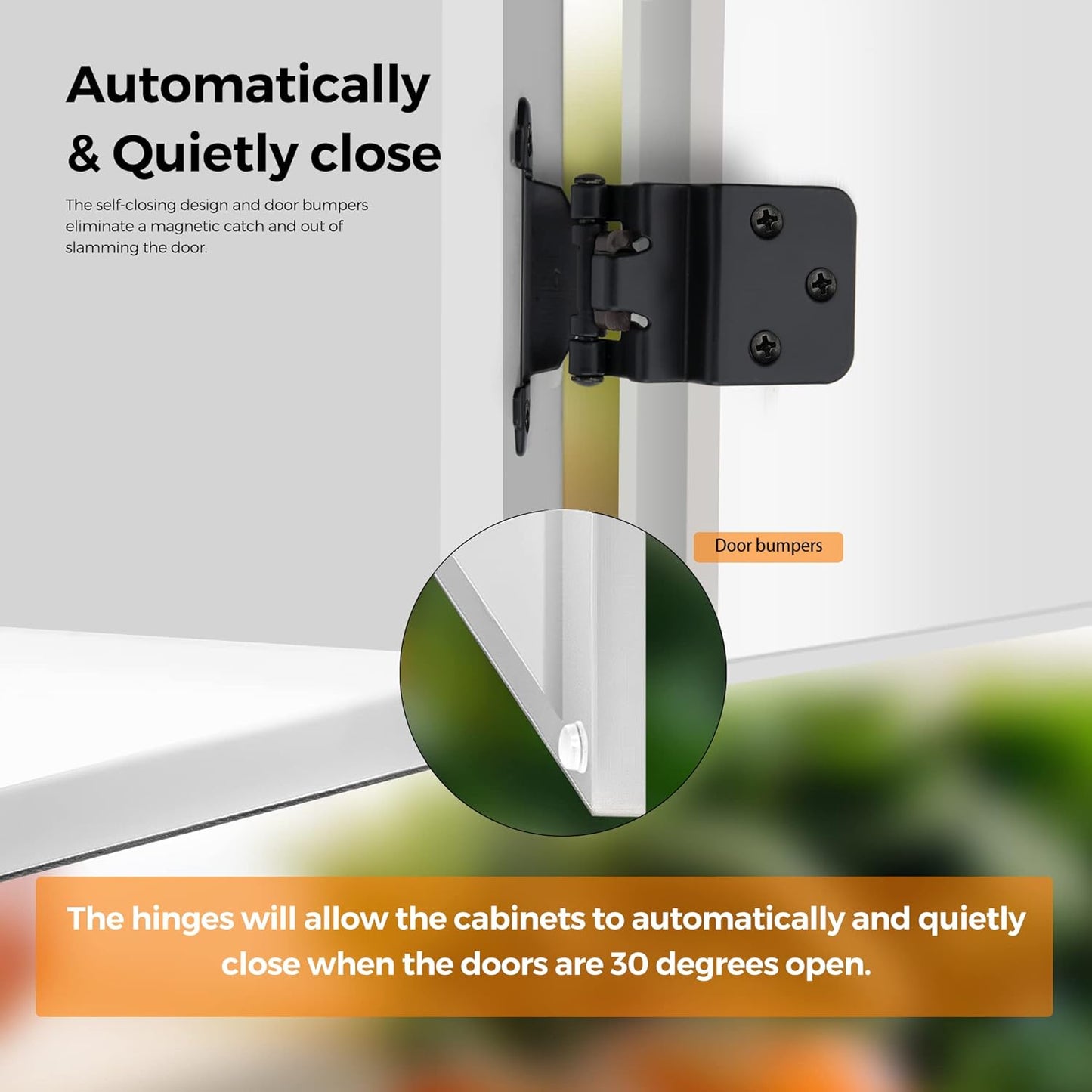 30 Pack Ravinte 3/8" Inset Matte Black Self Closing Cabinet Hinges for Kitchen/Bathroom/Furniture Cabinets & Doors - WildKart