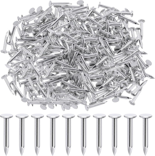 300 Pack of 1-1/4 Inch Galvanized Nails for Roof Repair, Asphalt Tile, and Landscaping - Roofing, Slating, Cement Siding Nails