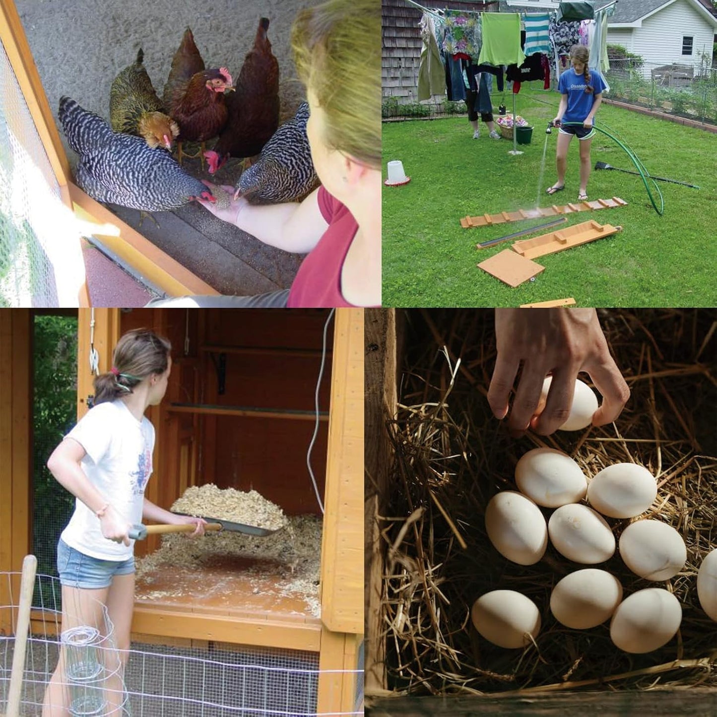 36" x 100' 1/4 inch Mesh Hardware Cloth Roll - 23 Gauge Galvanized Wire Fence for Chicken Wire, Welded Fencing, Gopher Barrier - WildKart