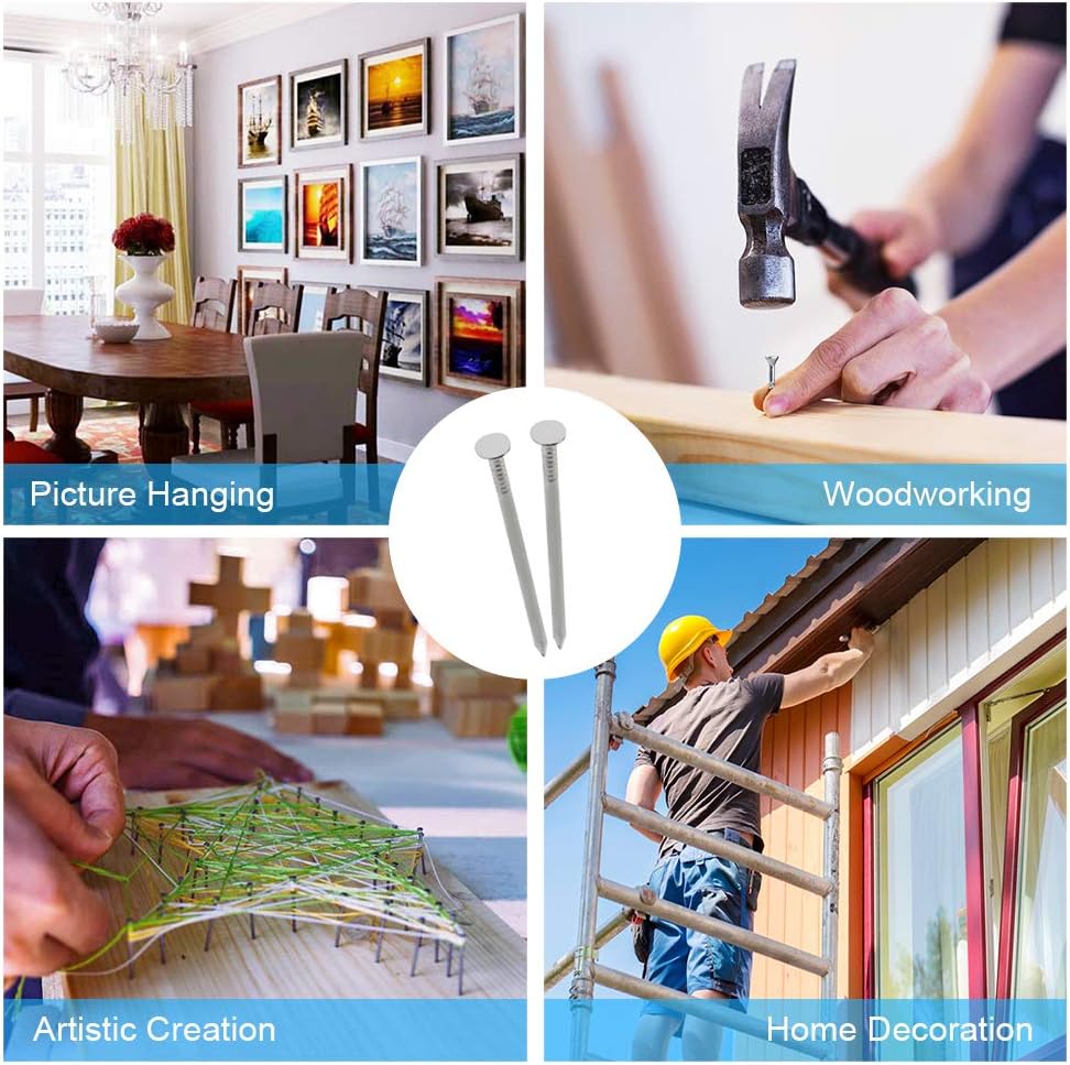 376pcs Galvanized Hardware Nails Assortment Kit with Storage Box - 2" Picture Hanging, Wood, Wall Nails - Premium Quality, 6 Sizes - WildKart