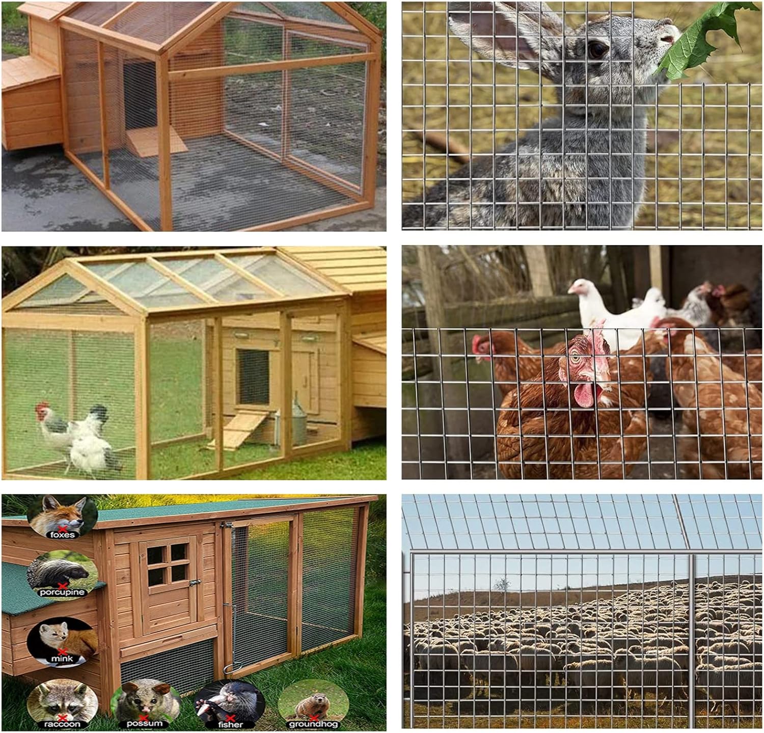 39" X 118" 304 Stainless Steel Welded Wire Mesh for Rodent Cages, Chicken Wire Garden Supports, and Snake Fencing