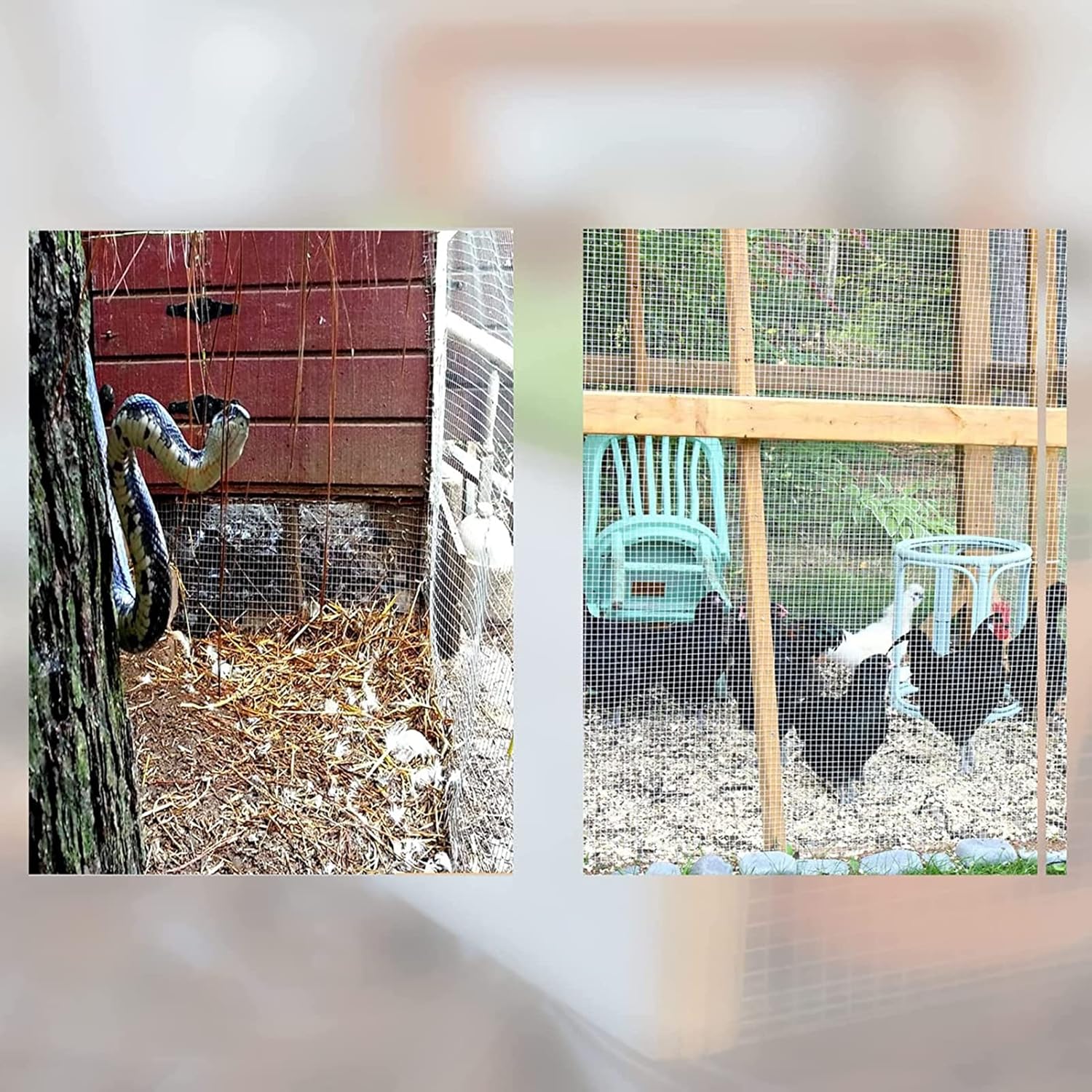 39" X 118" 304 Stainless Steel Welded Wire Mesh for Rodent Cages, Chicken Wire Garden Supports, and Snake Fencing