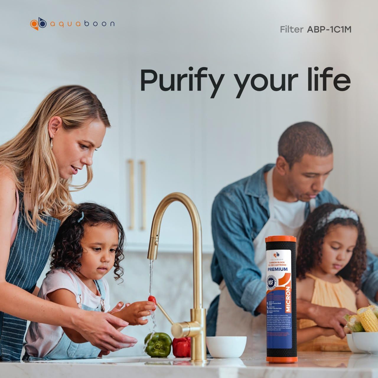 4 Pack Aquaboon 1 Micron CTO Carbon Block Water Filter Cartridges for GE FXWTC - 10 x 2.5" Replacement Filters for Countertop & Under Sink Systems