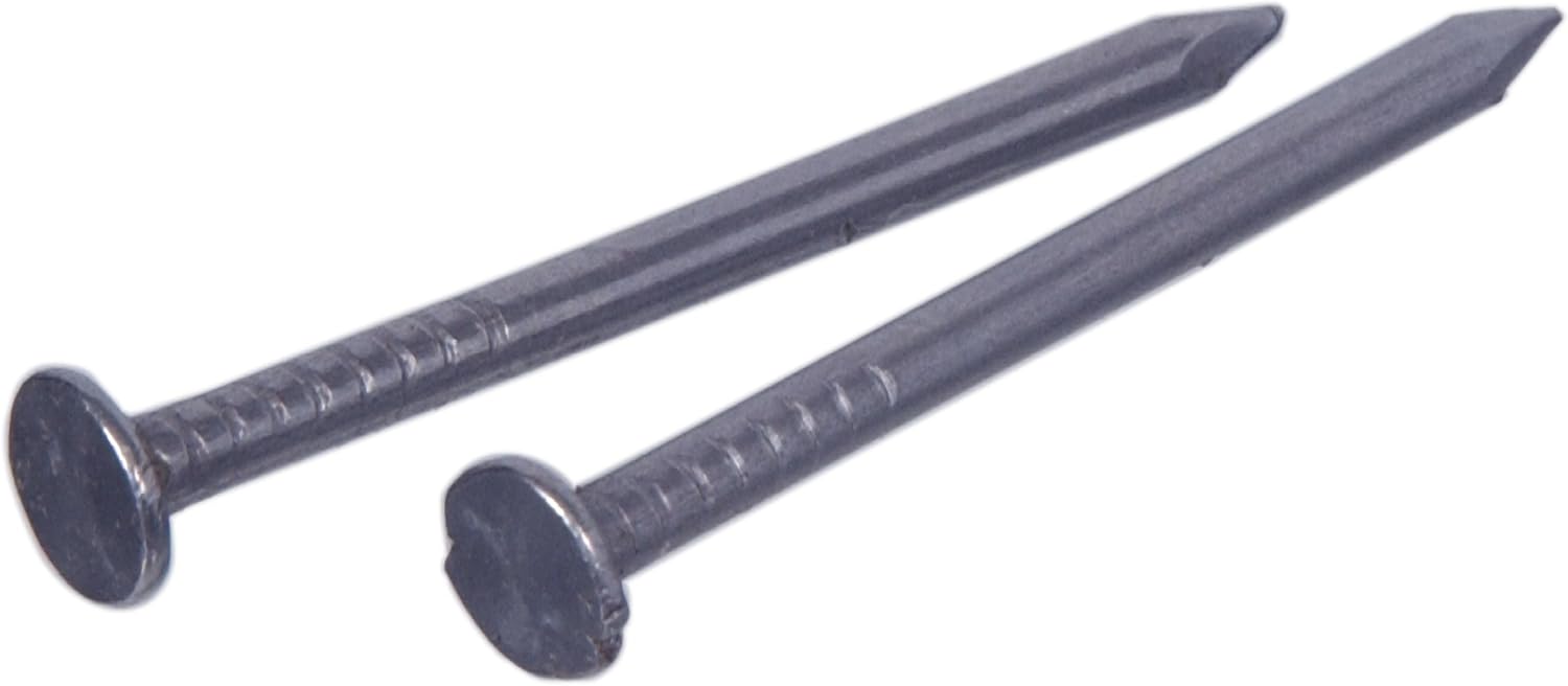 40-Pack of 2-Inch Silver Polish Common Nails (6D)