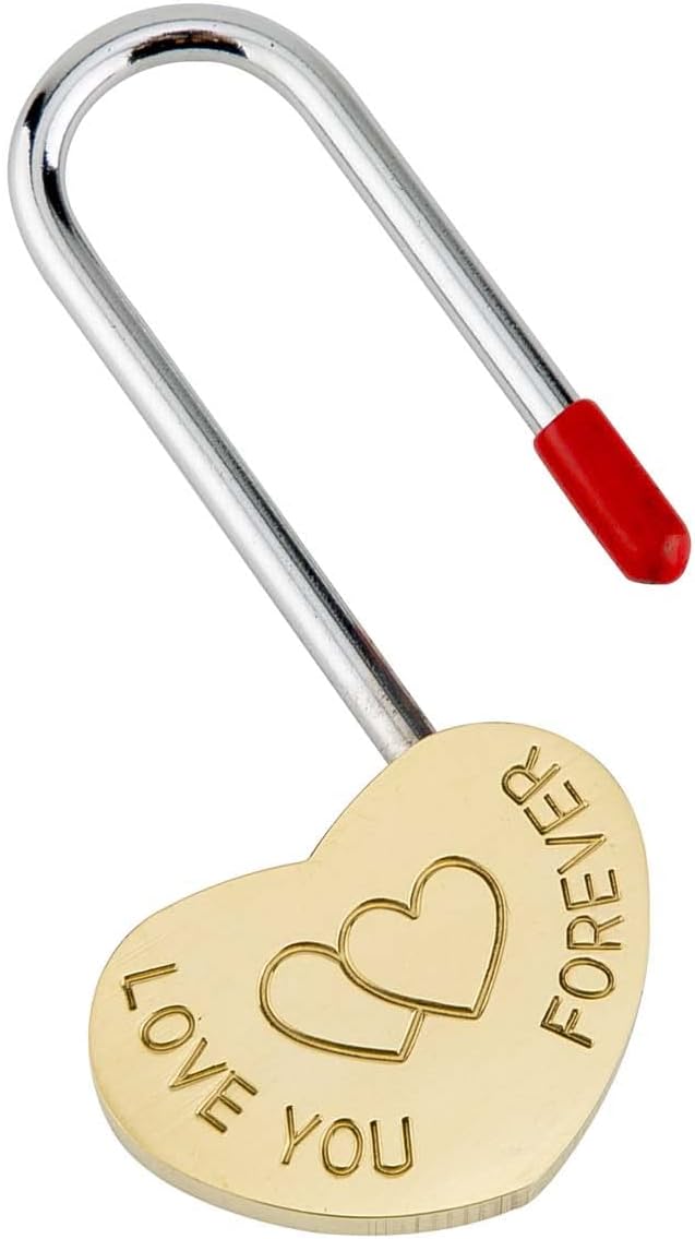 4PCS VeYocilk Love Lock Heart Padlock - 3.5" 50mm Without Key for Eternal Love on Fence & Bridge