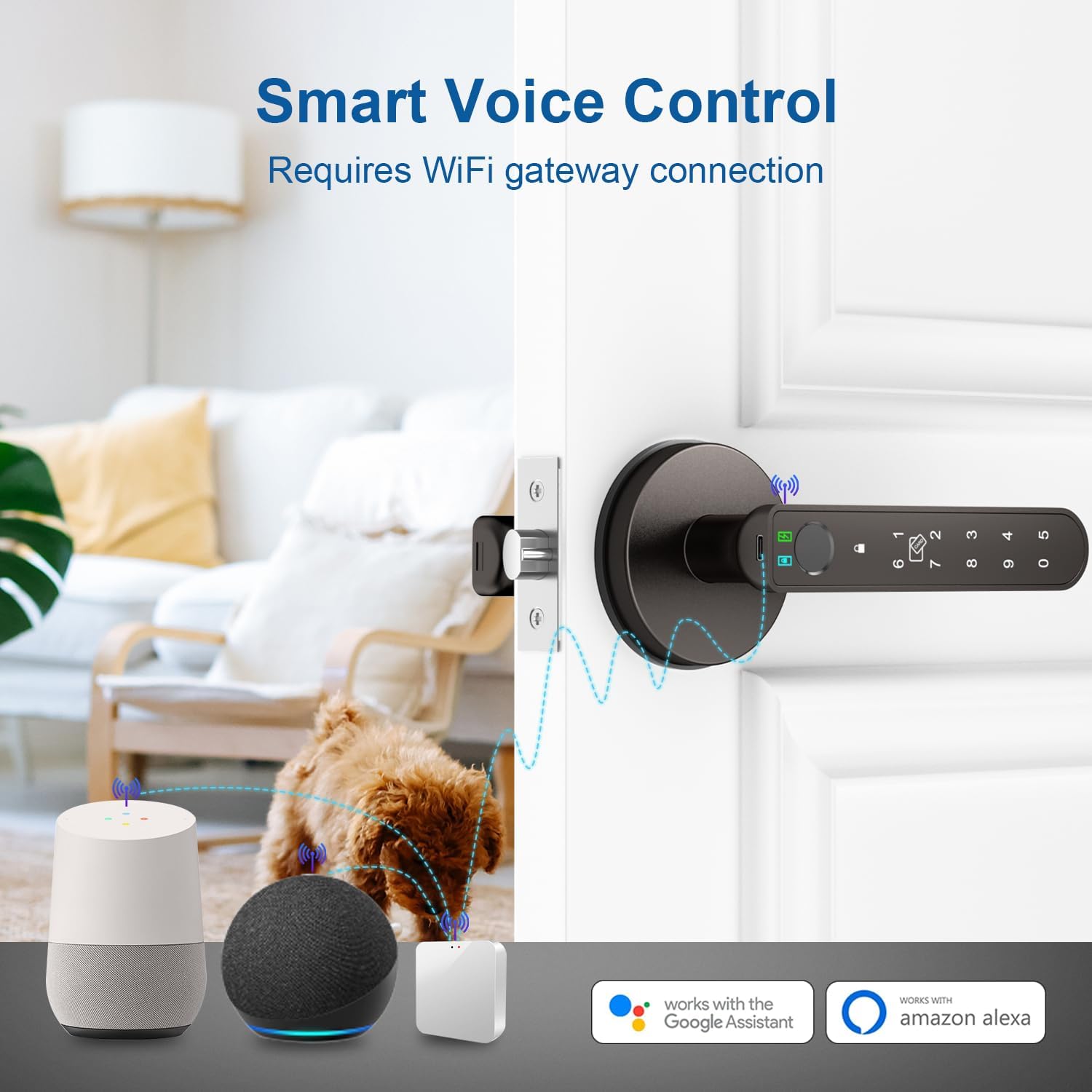 6-in-1 Smart Fingerprint Door Lock with App Control, IC Cards, Passwords, Keys - Biometric Lock for Bedroom Apartment in Coffee Brown