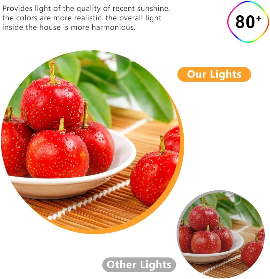 6 Pack of LightingWill 3W Dimmable LED Downlights, 2 Inch Recessed Ceiling Lights - Warm White, High CRI, Halogen Equivalent - 3000K