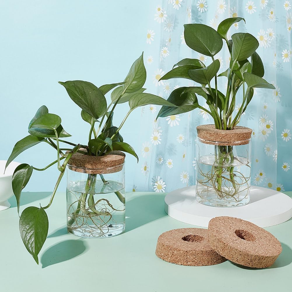 6-Piece Cork Lids Set for 3.5 Inch Glass Planters - Hydroponic Plant Cork Stoppers with Center Hole for Centerpieces & Propagation