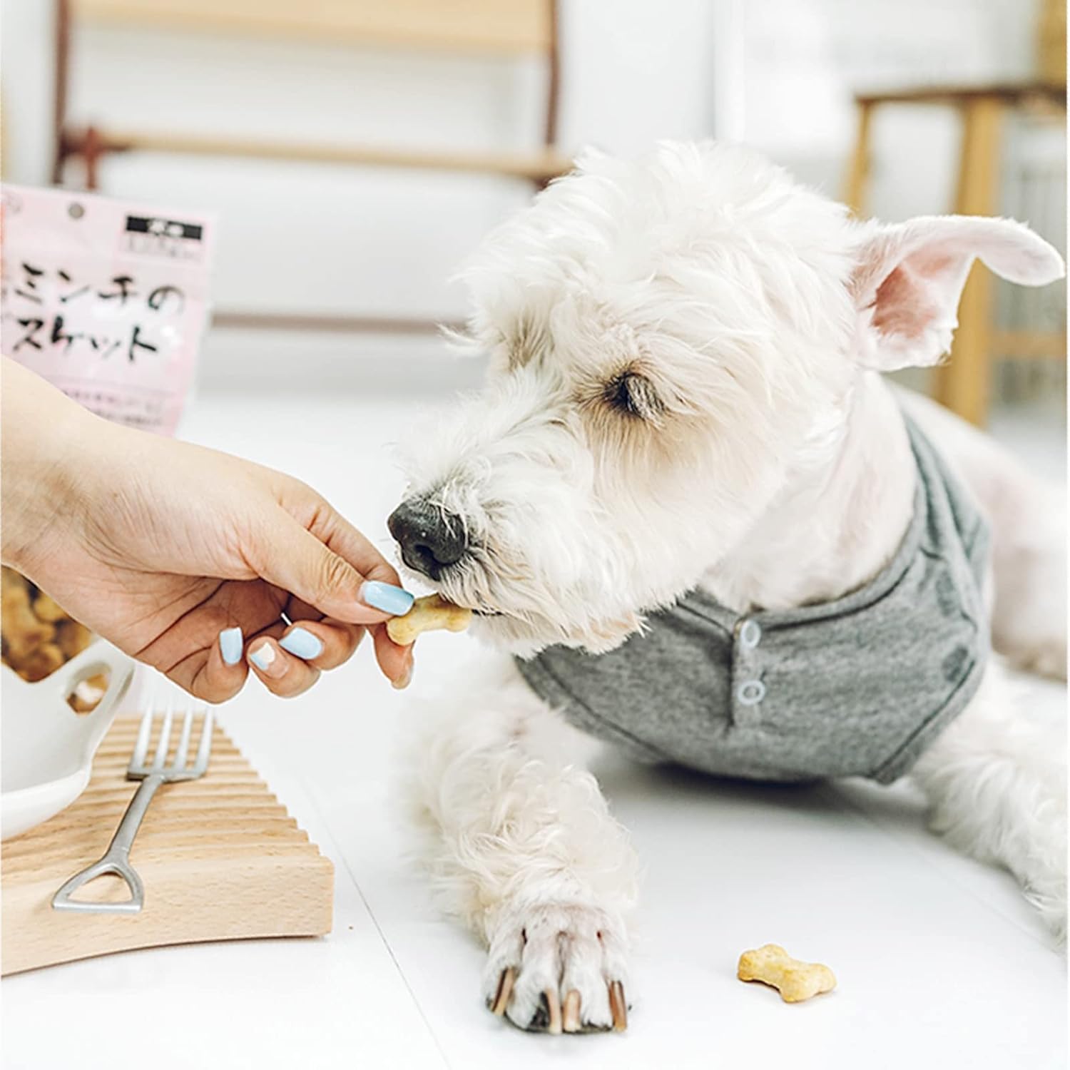 6-Piece Dog Cookie Cutter Set for Homemade Treats and Baking - Mini, Small, Medium, Big Sizes