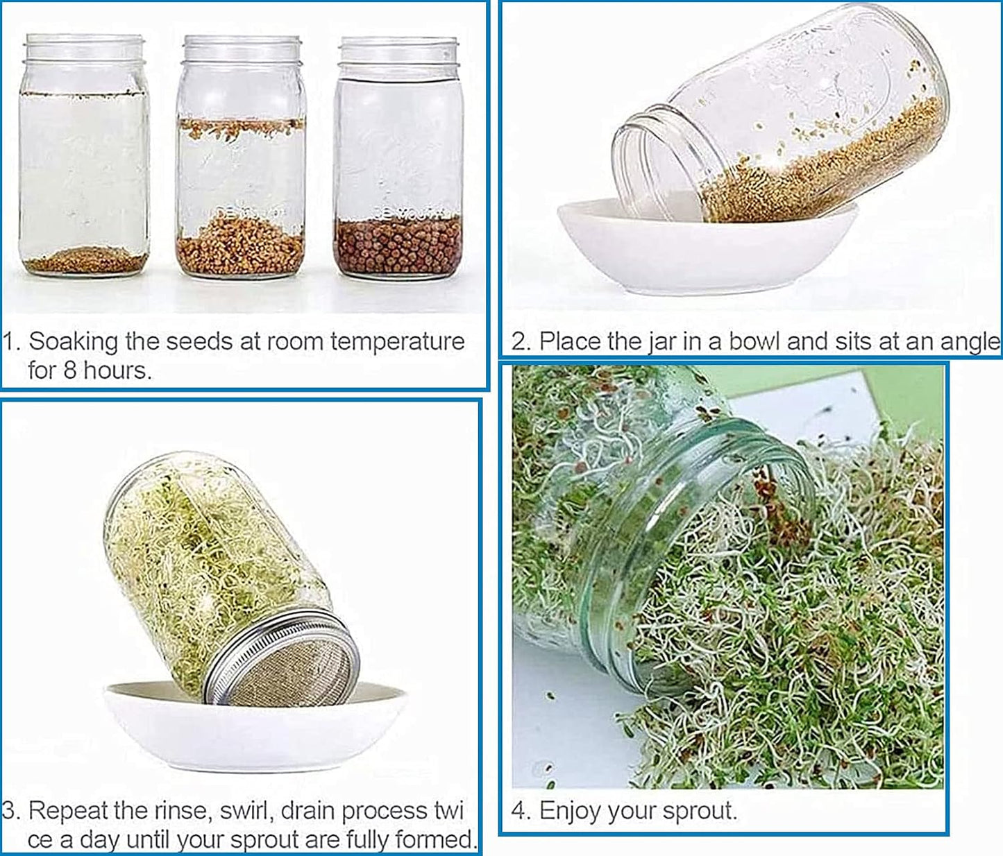 6-Piece Stainless Steel Wide Mouth Mesh Strainer Sprouting Lids for Canning Jars - Seed Sprouting & Salad Sprouts Kit