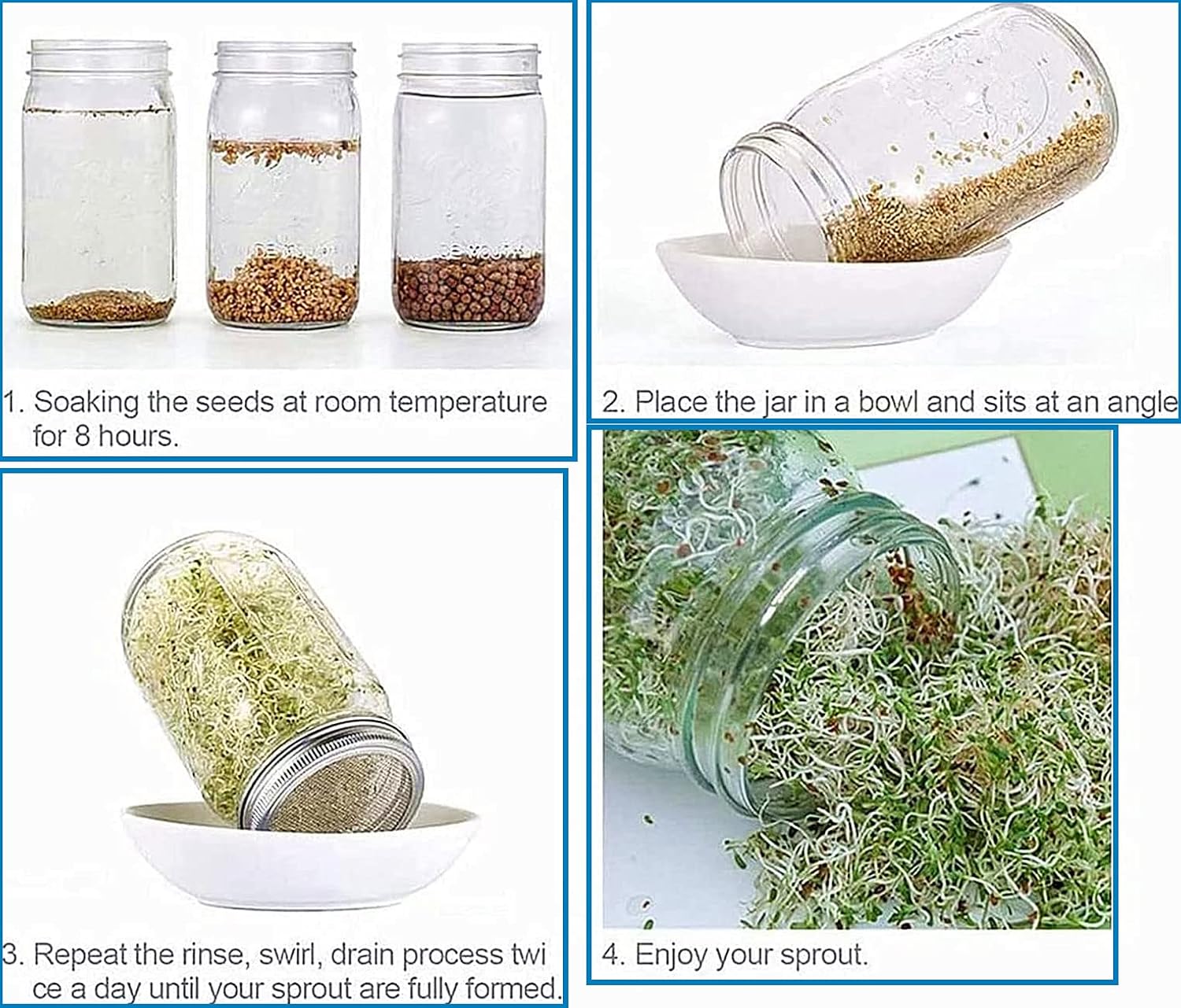 6-Piece Stainless Steel Wide Mouth Mesh Strainer Sprouting Lids for Canning Jars - Seed Sprouting & Salad Sprouts Kit