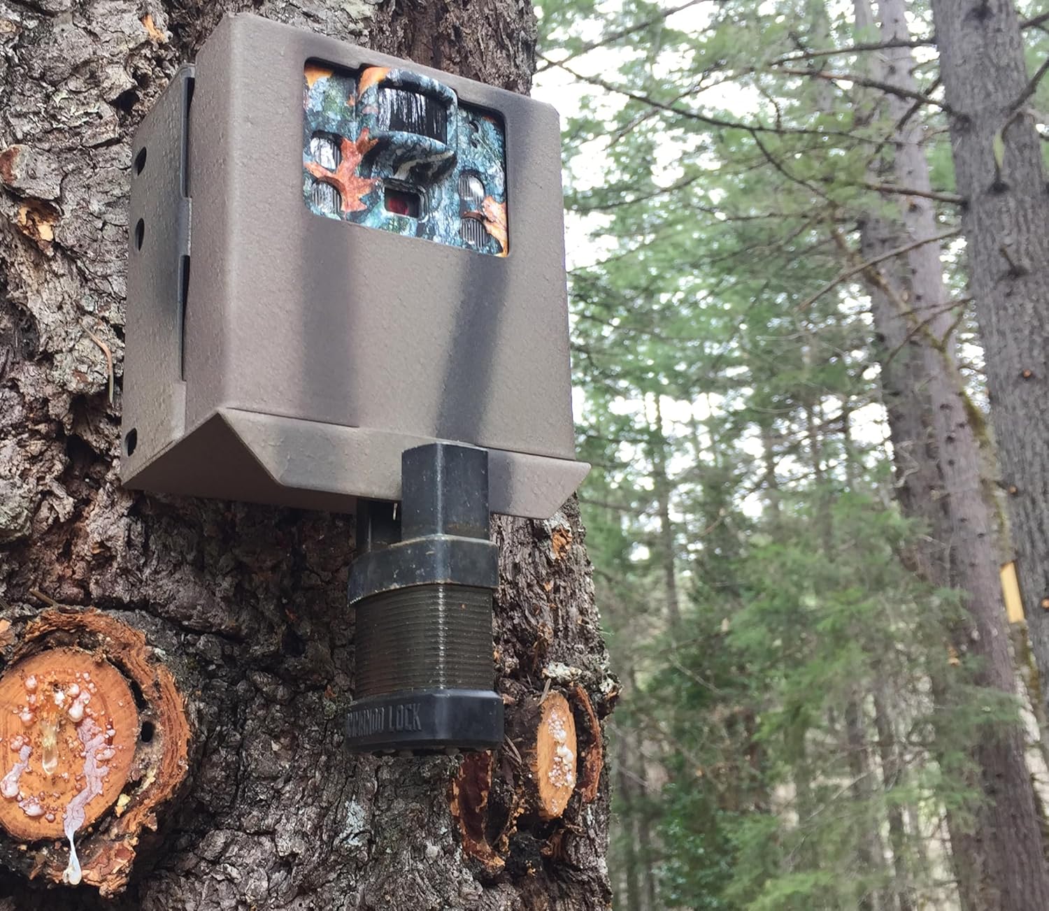 8 ft Military Grade Cable Lock & Bolt Cutter Proof Padlock Set - Commando Lock Full Spectrum Security