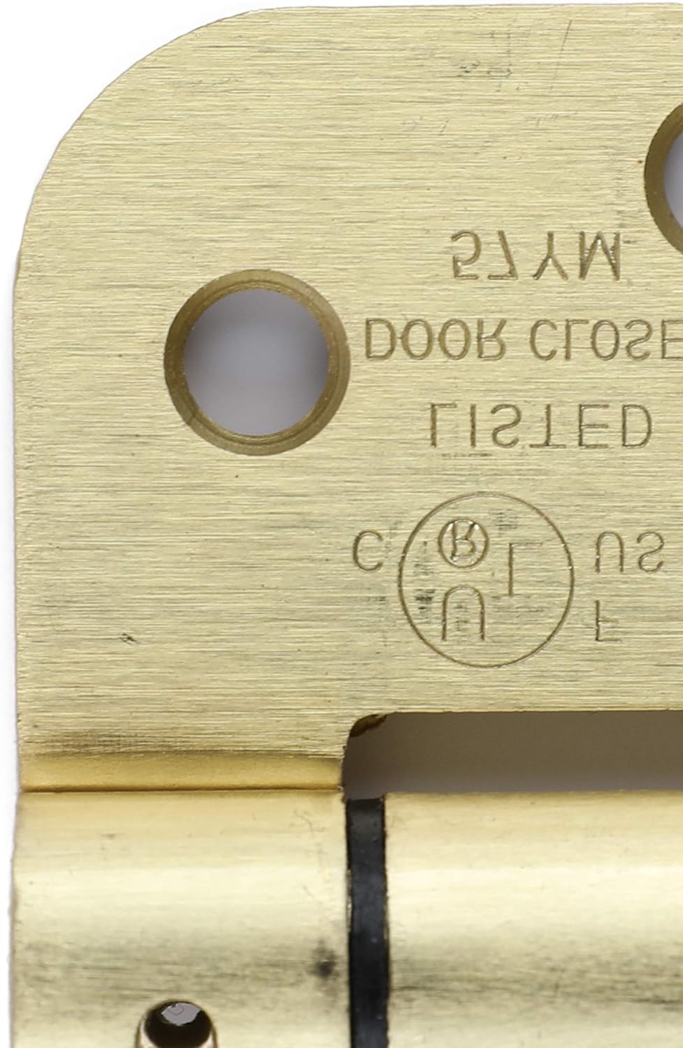 Auto Close Spring Door Hinges, 4 Inch, Brass Finish, 2 Pack, Adjustable Self Closing Hinges