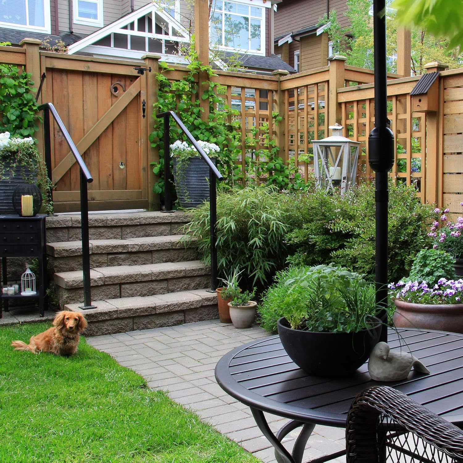 Black Nuvo Iron SBL Slide Bolt Gate Latch - Secure Your Gate with Style