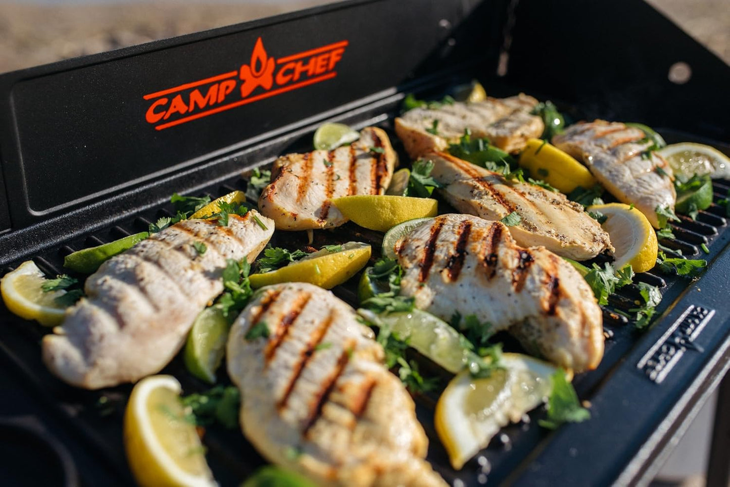 Camp Chef 16" x 24" Cast Iron Reversible Griddle for Outdoor Cooking and Camping Gear