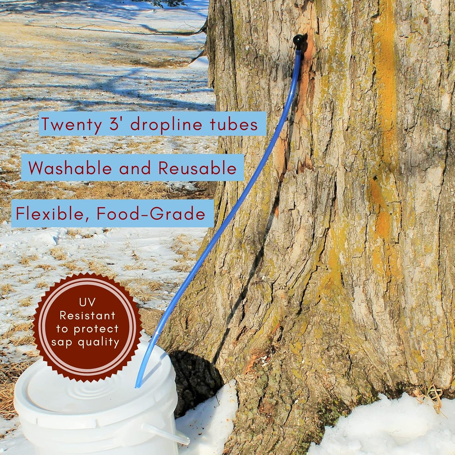 Deluxe Maple Syrup Tree Tapping Kit - (20) Taps, (20) 3-Foot Tubes, (2) 1-Quart Sap Filters - Dark Blue Tubing - Recipe Cards, Drill Bit, Guide Book