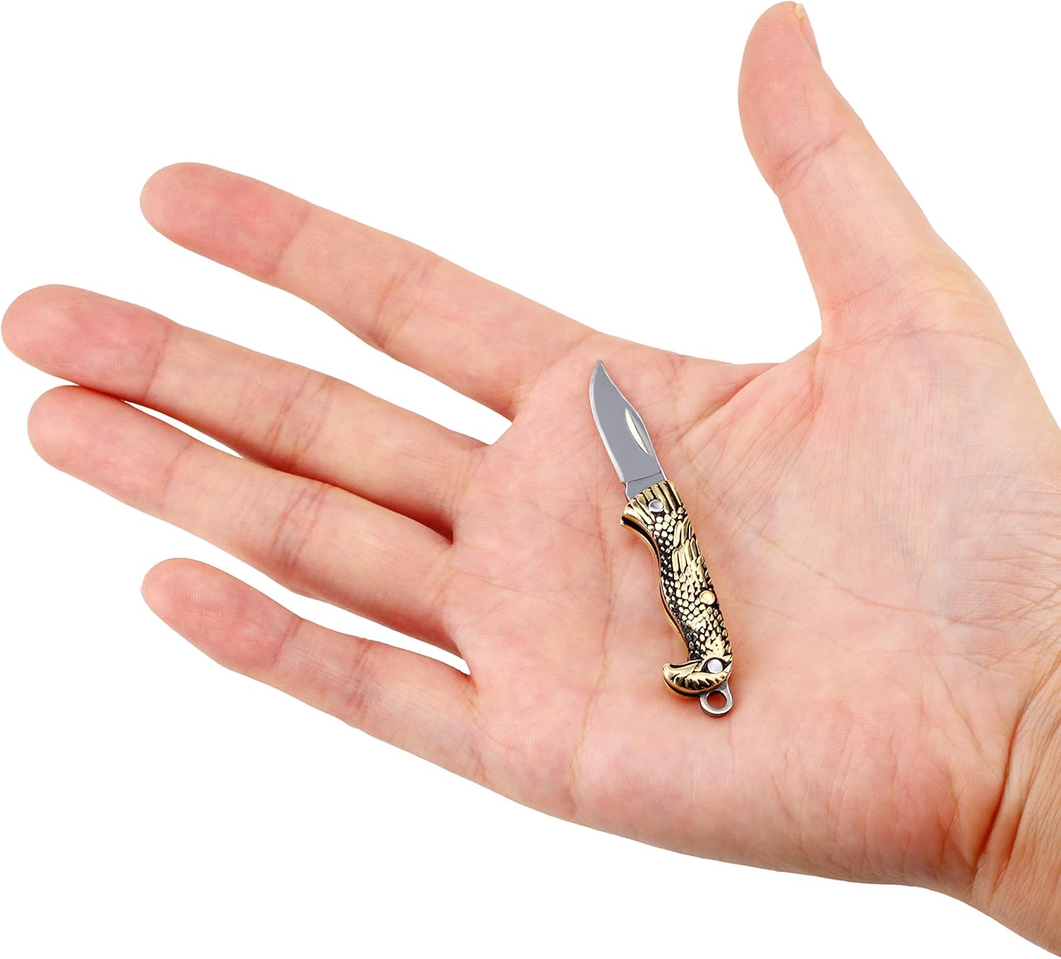 Eastern Delights EDC Mini Multifunction Pocket Knife with Eagle Handle - Ultra Small Cutting Tool