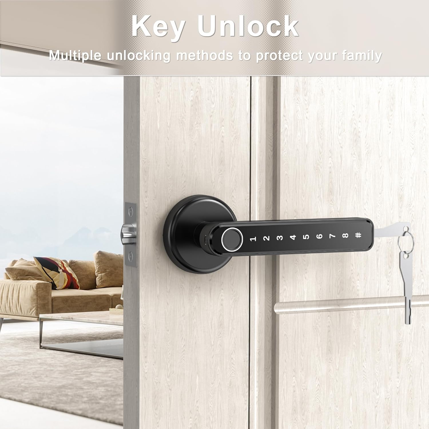 Keyless Entry Fingerprint Door Lock with Keypad and Handle for Home, Hotel, Office - Black