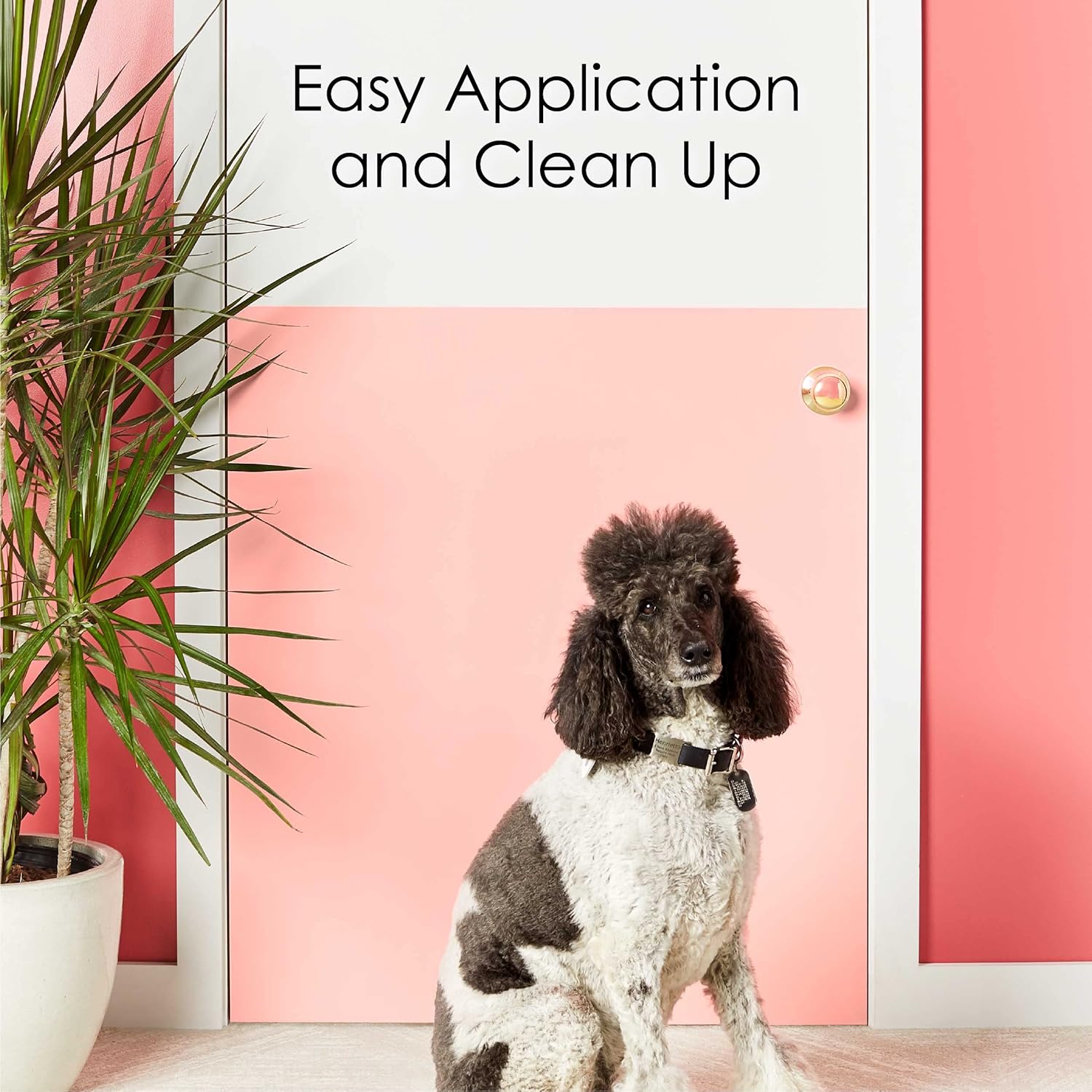 Krylon COLORmaxx Acrylic Latex Brush On Paint - Indoor/Outdoor Quart - Gloss Pumpkin Orange