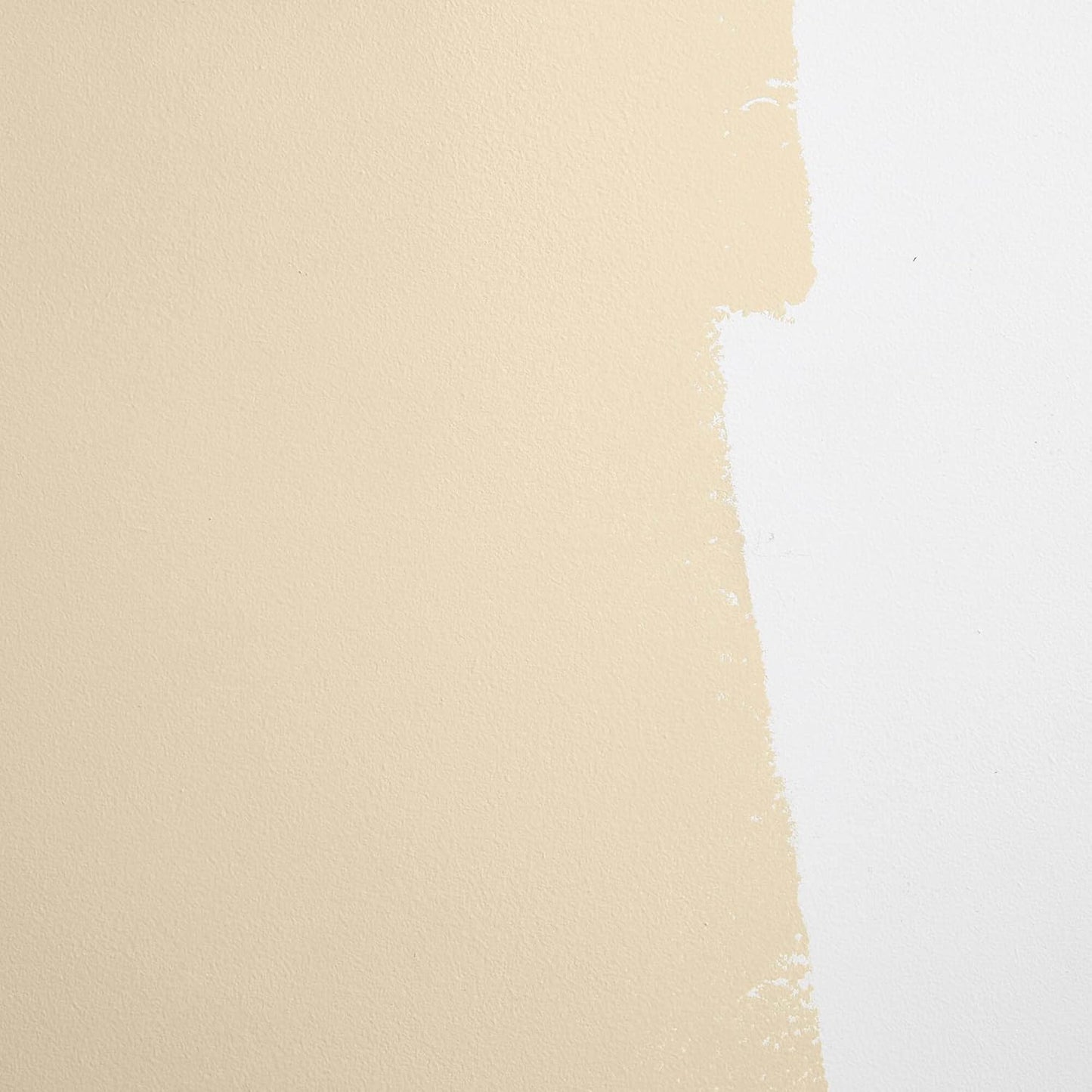 Large Adhesive Paint Swatch in PALO SANTO Earthy Yellow-Beige 12" x 12" - Premium Interior Paint Sample