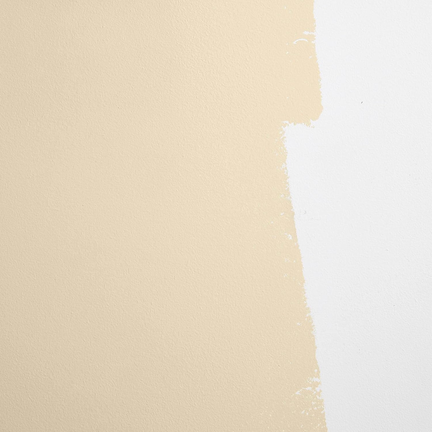 Large Adhesive Paint Swatch in PALO SANTO Earthy Yellow-Beige 12" x 12" - Premium Interior Paint Sample