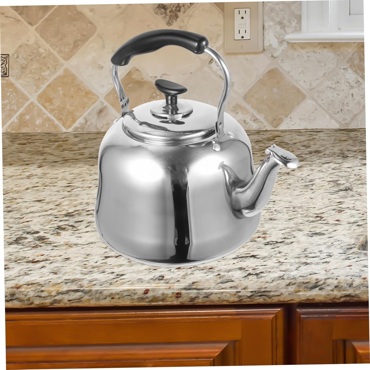 Large Stainless Steel Teakettle with Whistle for Tea and Coffee Brewing in Home