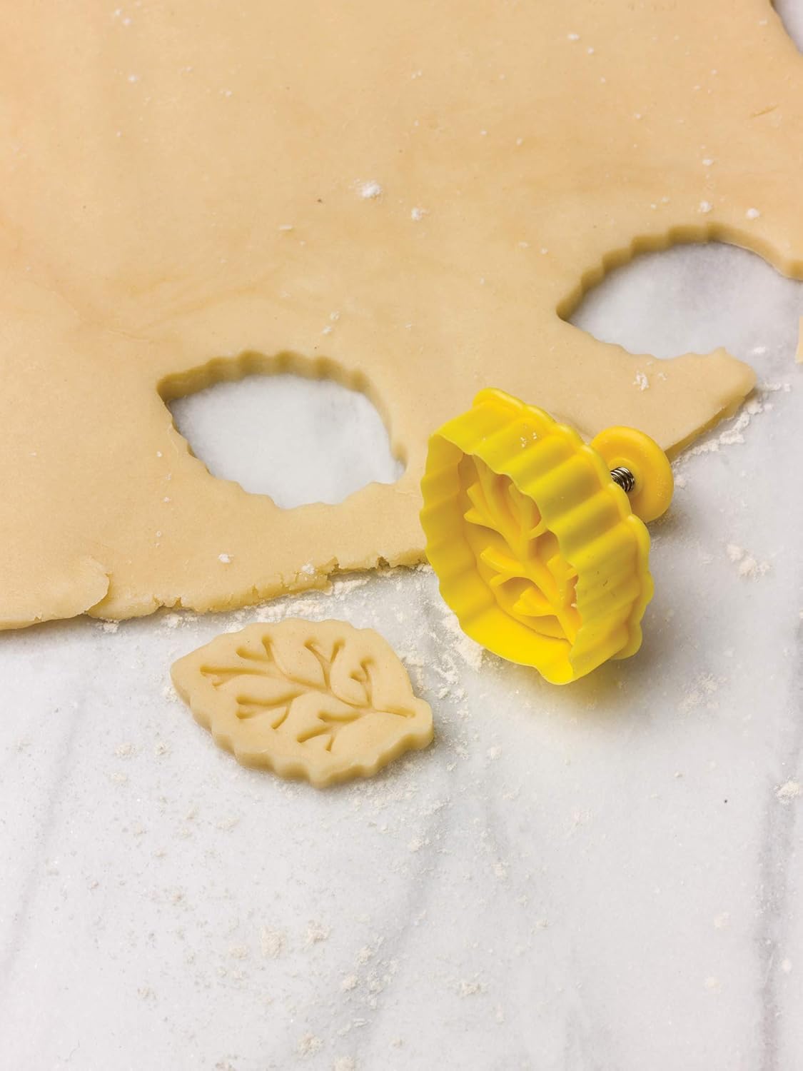 Multicolor 2" Autumn Leaves Pastry, Cookie, Pie, and Fondant Stampers/Cutters Set by Fox Run Harvest - 4 Pieces